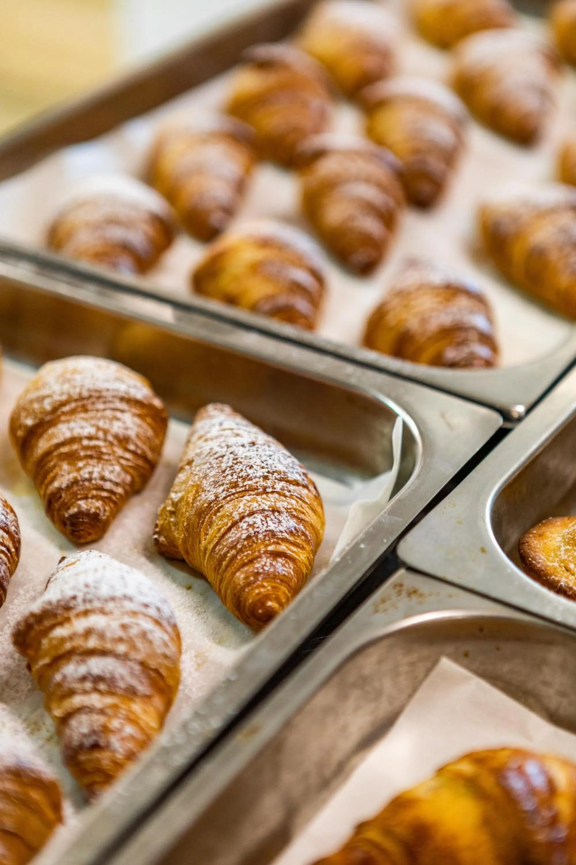 Giardino Dei Pini - Boutique Hotel