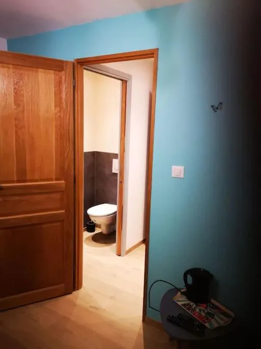 Toilet, Bathroom in chambre d'hôtes nos racines (chez Muriel et Philippe)