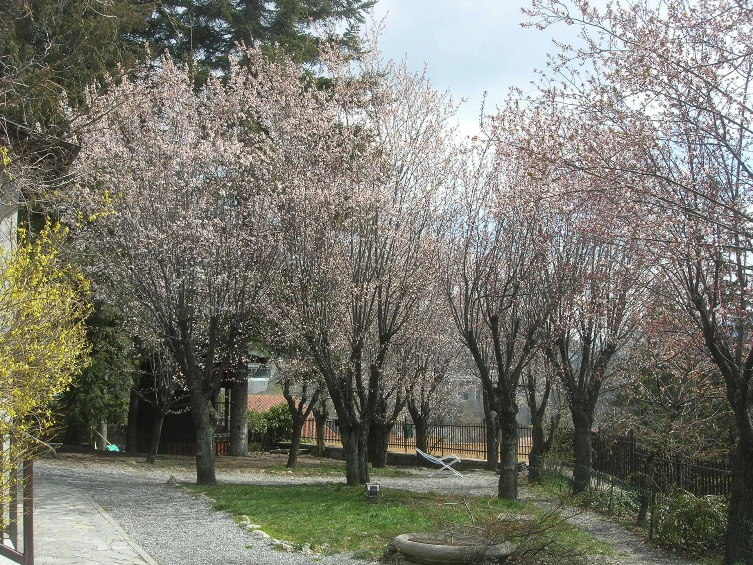 Facade/entrance in Appartamenti Bardonecchia