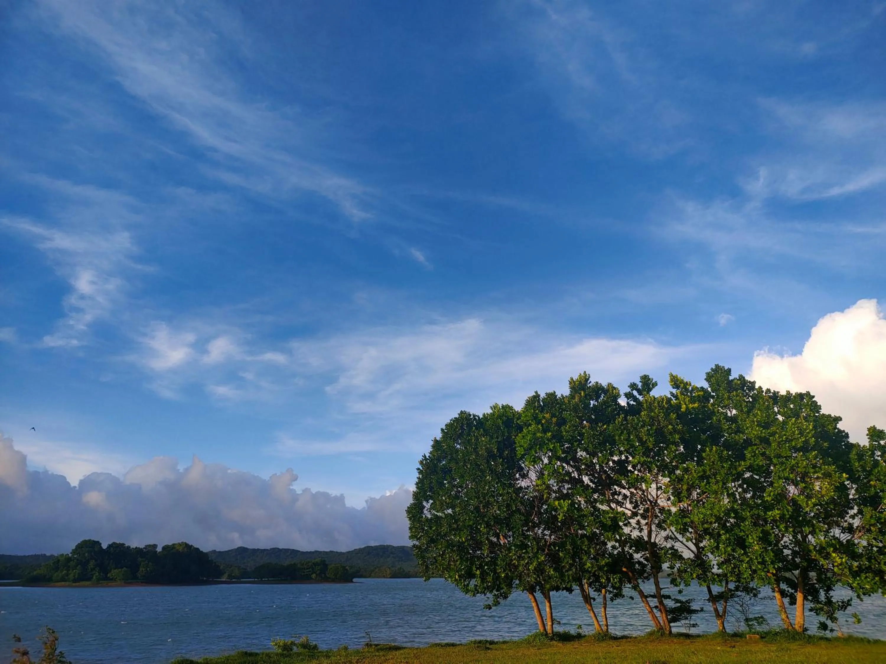 Natural landscape in Kaliraya Surf Kamp by Eco Hotels