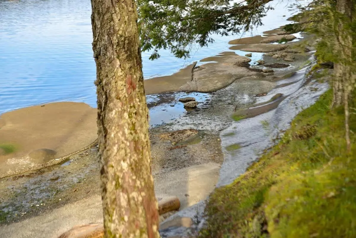 Dragonfly Cottage by EMR Vacation Rentals