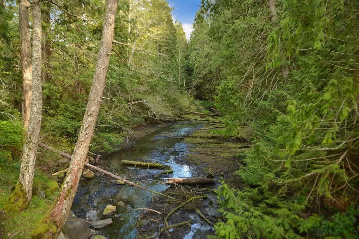 Dragonfly Cottage by EMR Vacation Rentals