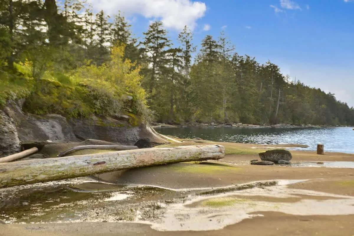 Dragonfly Cottage by EMR Vacation Rentals