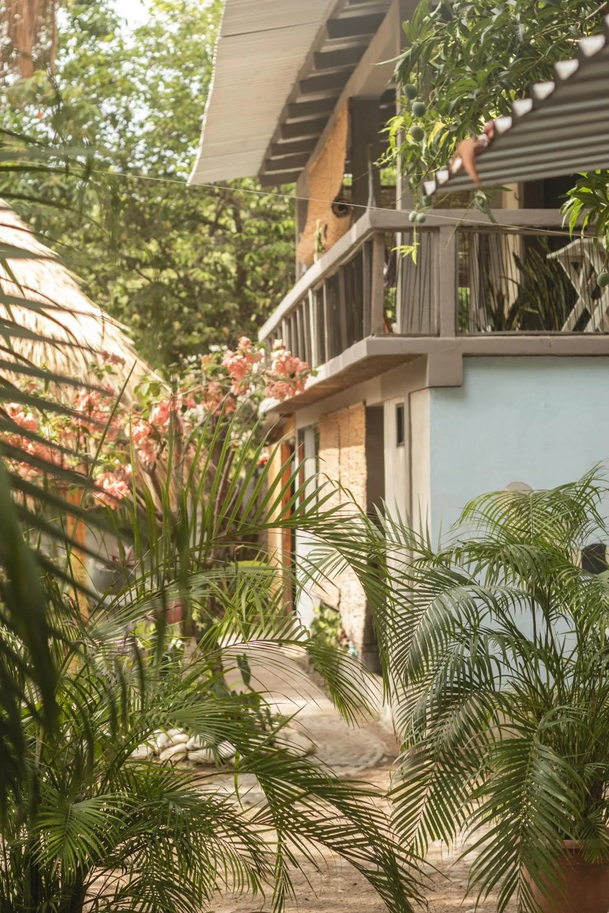 Property building in La Canasta