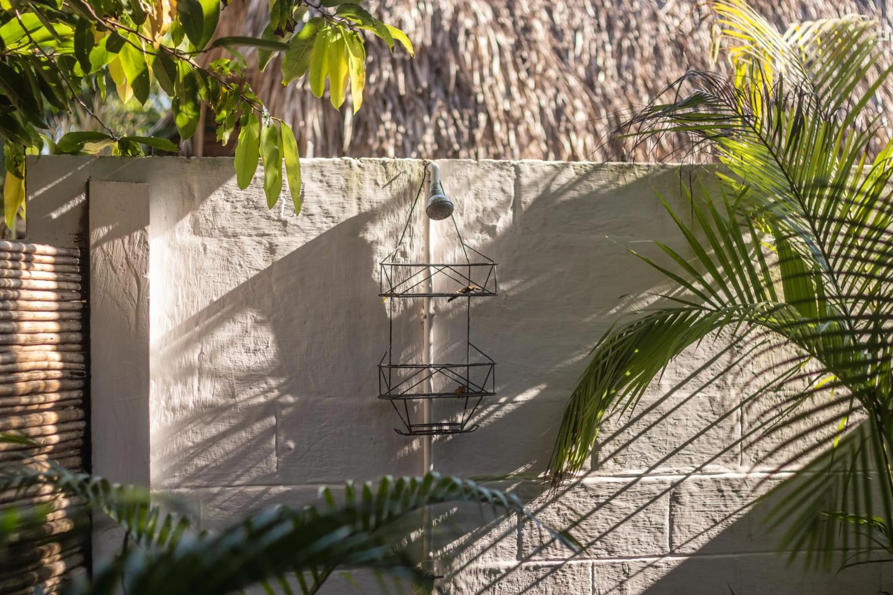 Garden in La Canasta