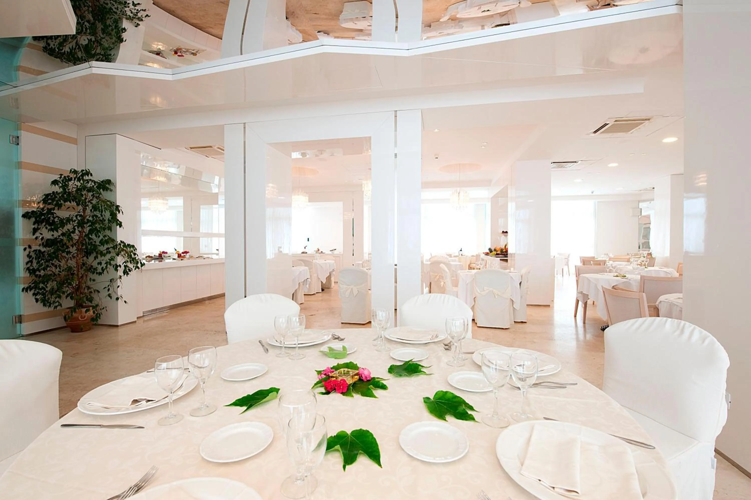 Restaurant/places to eat in Hotel Excelsior