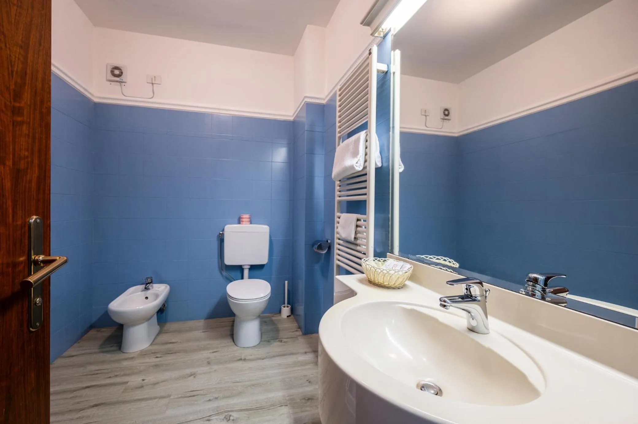 Toilet in Hotel Diana