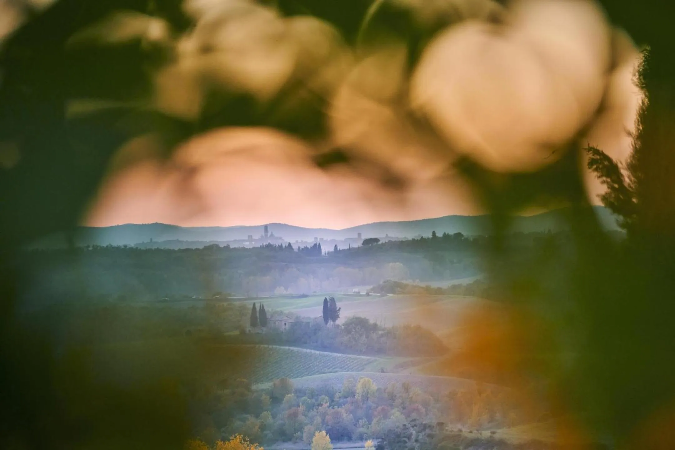 City view in Villa Curina Resort