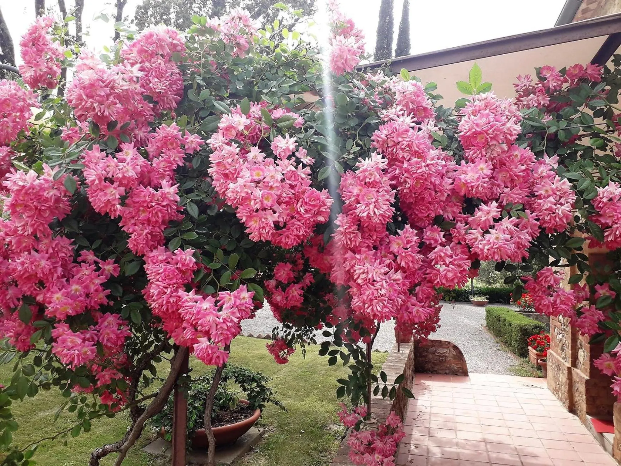Garden in Villa Curina Resort