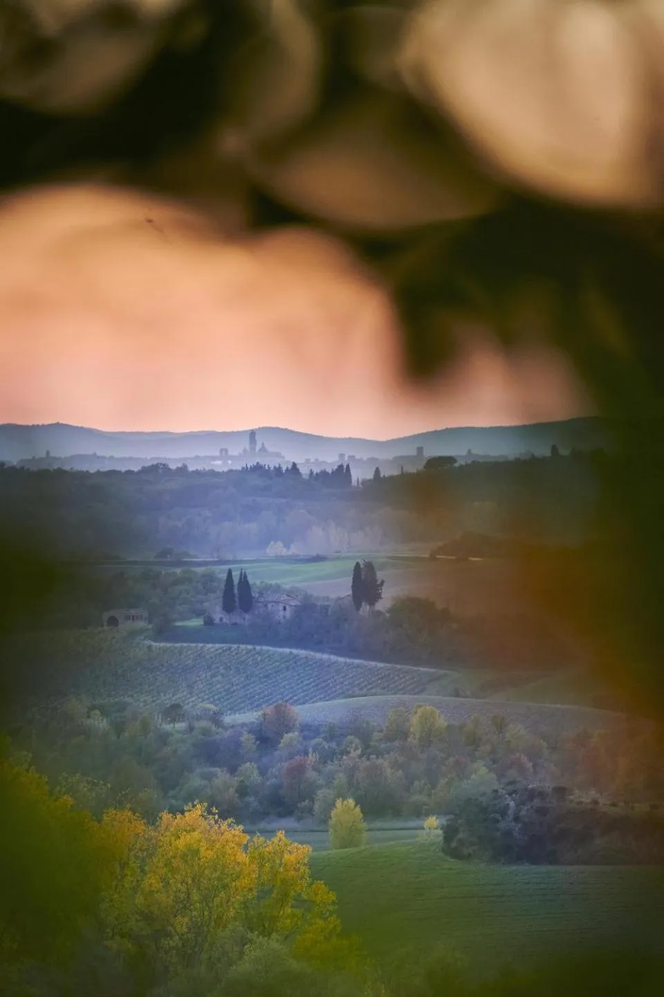 Decorative detail in Villa Curina Resort