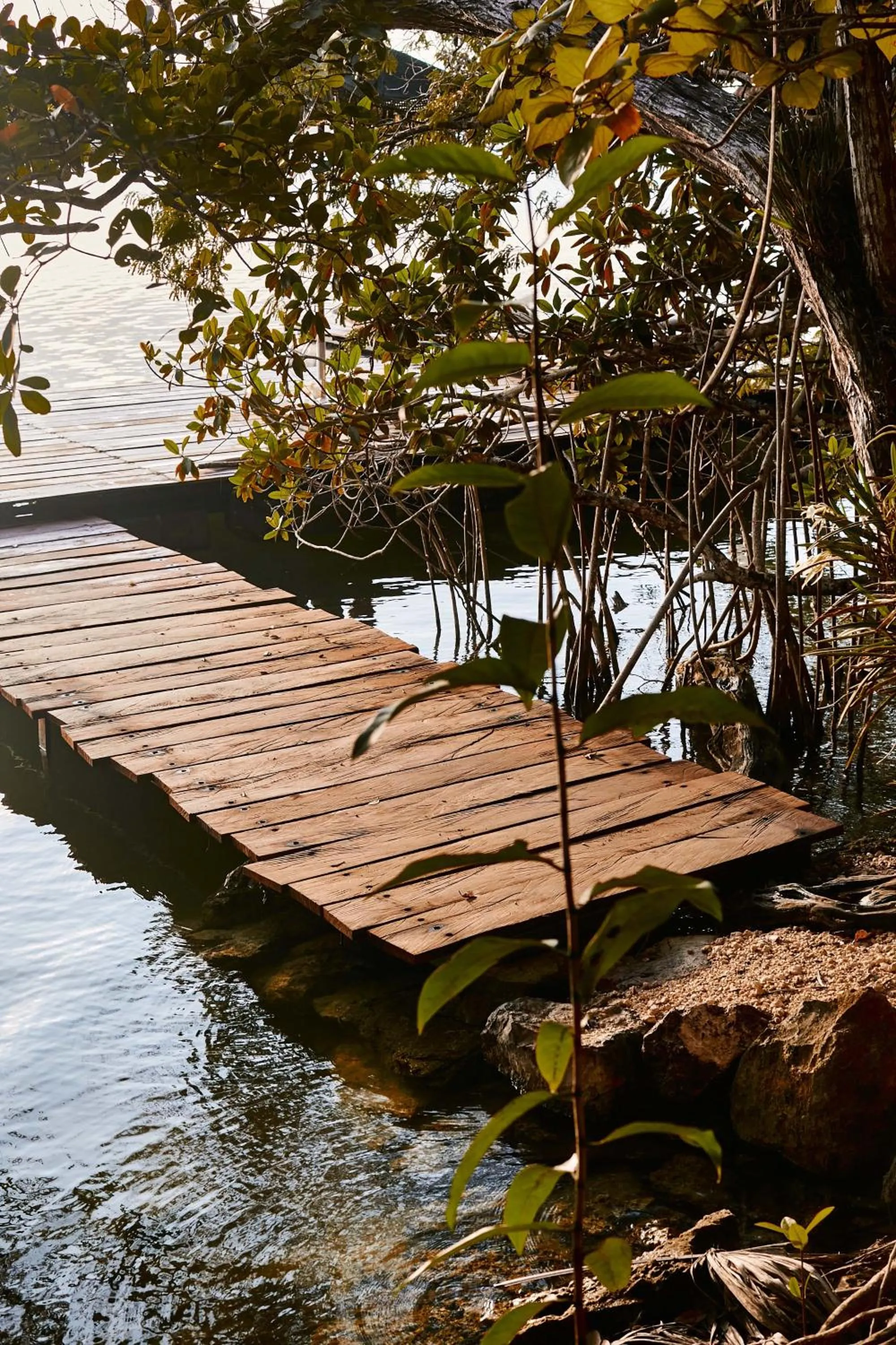Lake view in Kapok Bacalar - Plant Based Hotel