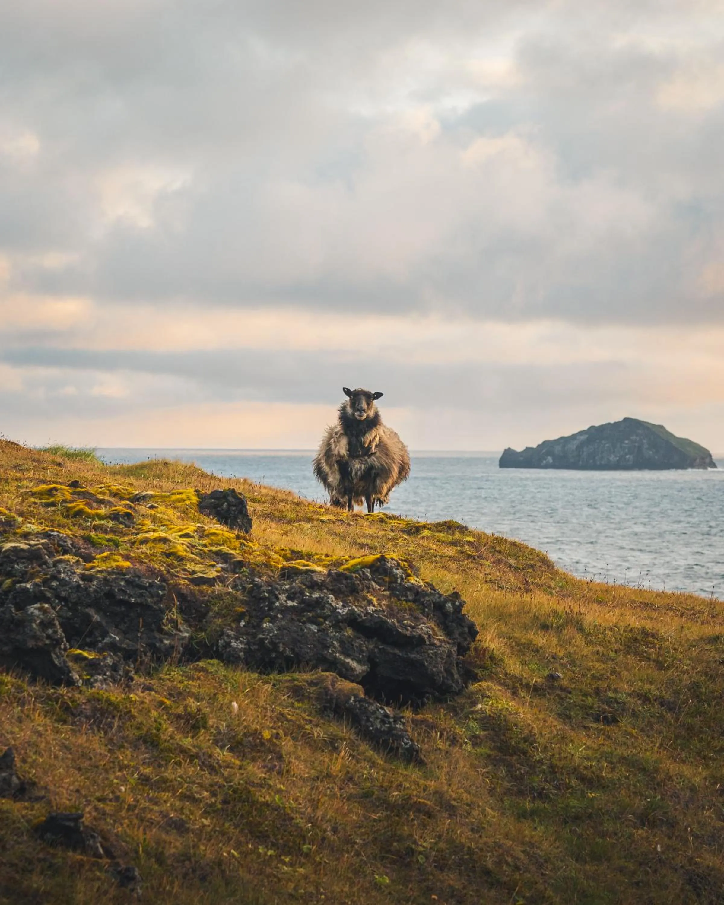 Nearby landmark in Westman Islands Inn