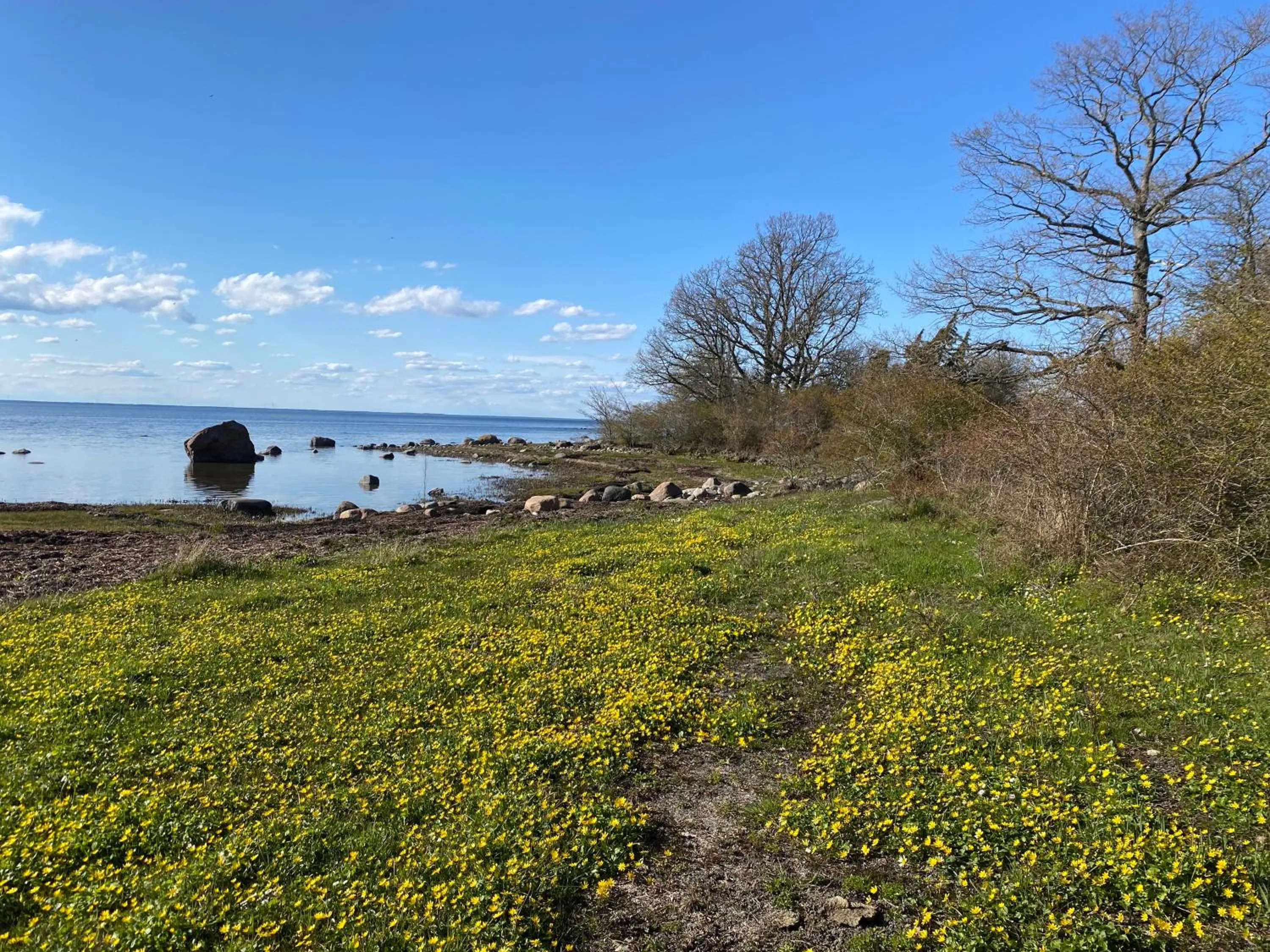 Gård Halltorps hage