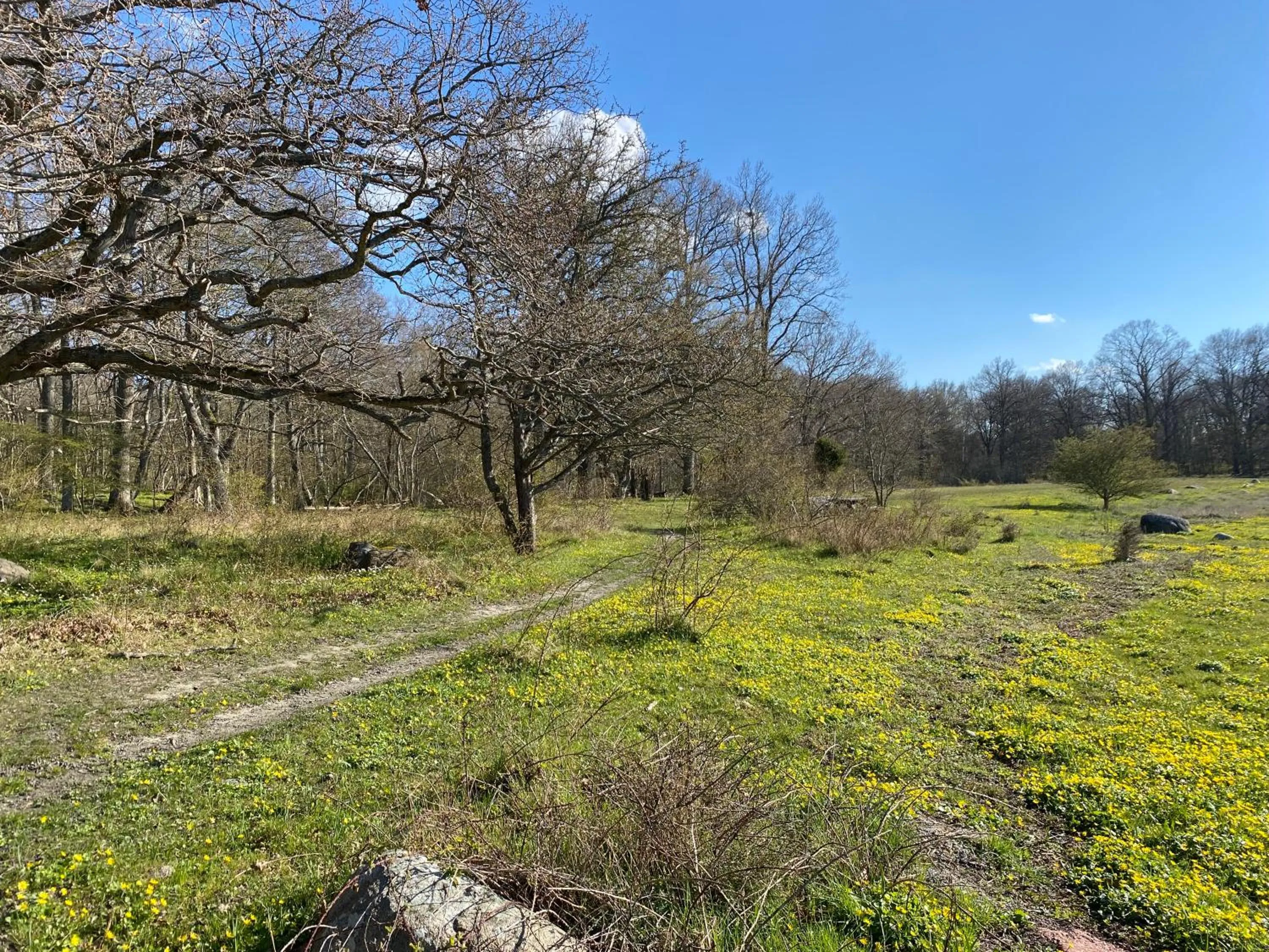 Gård Halltorps hage