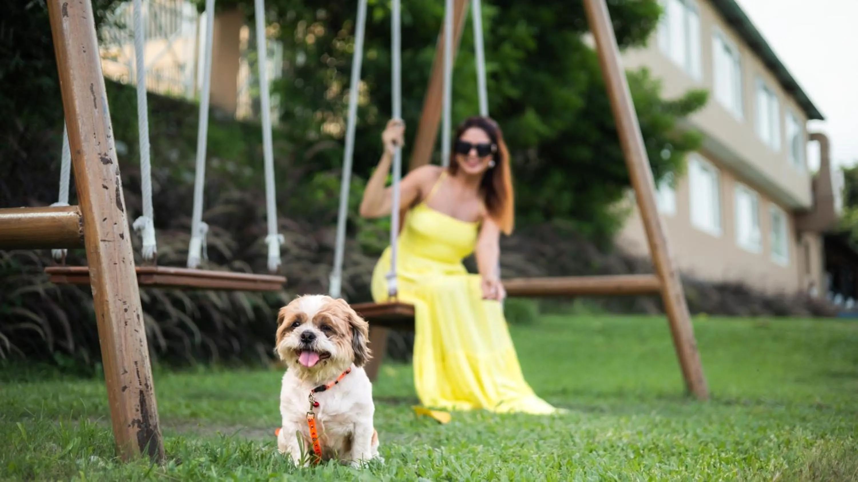 pet friendly in voco Jim Corbett by IHG