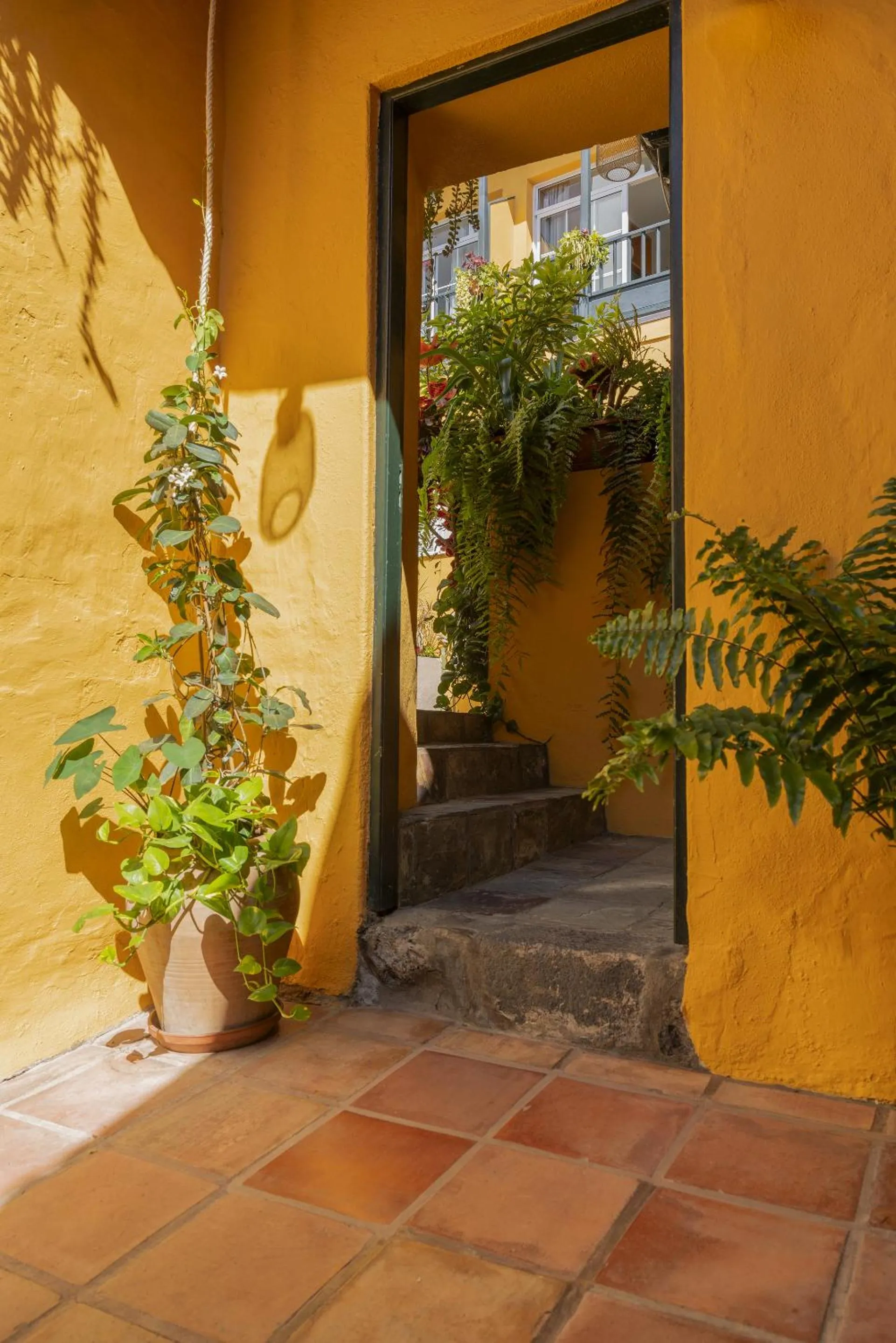 Balcony/Terrace in Hotel San Telmo