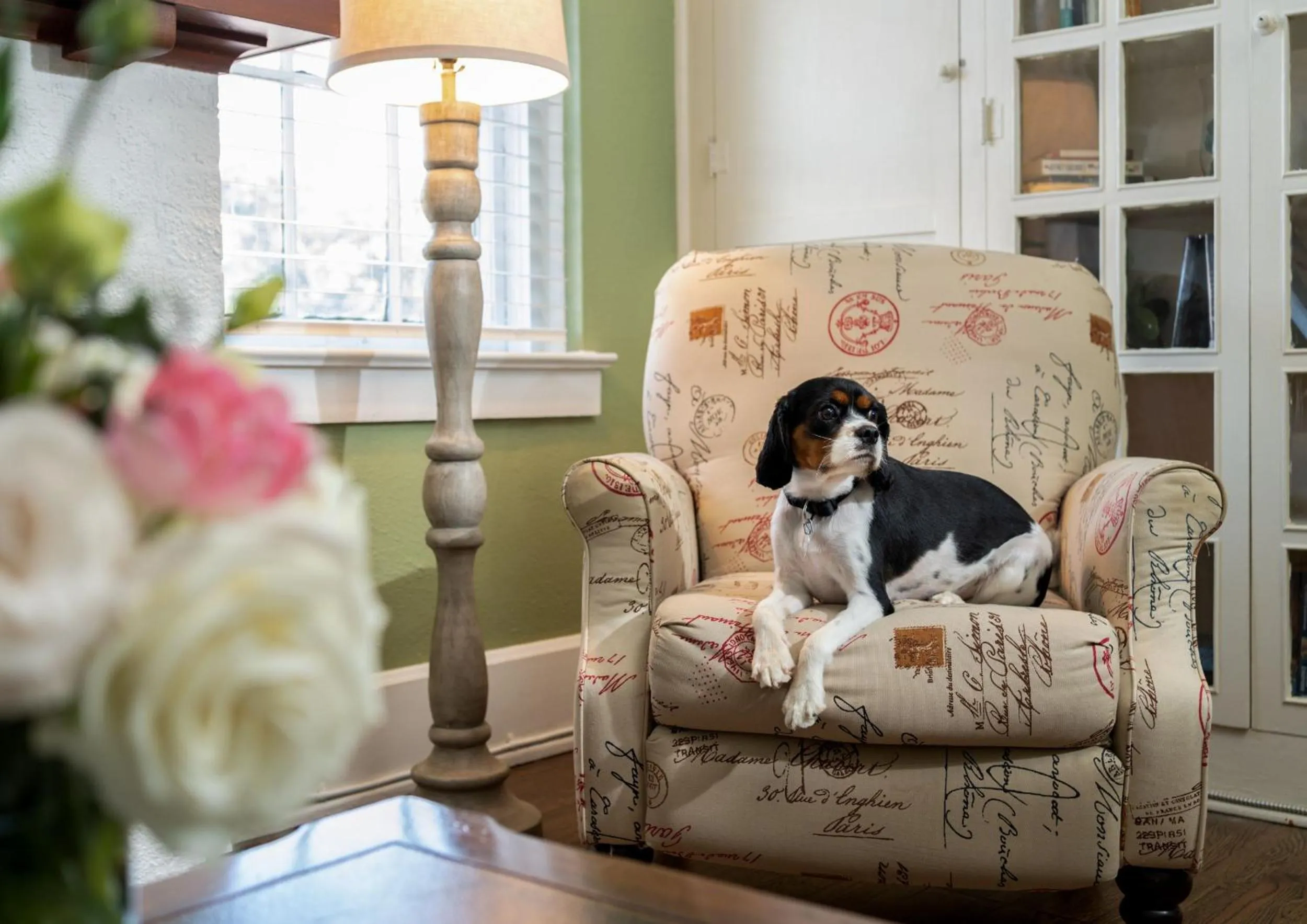 Pets in Magnolia Manor and Chapel