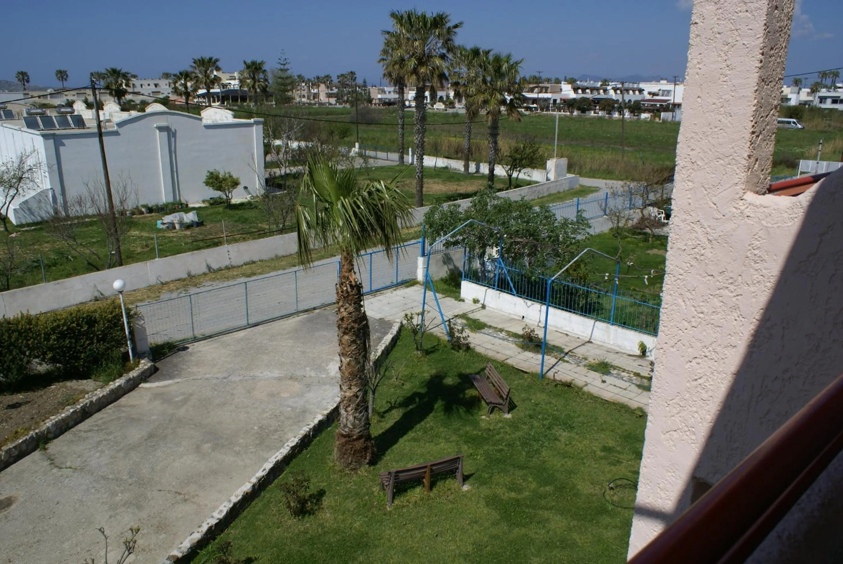 Garden in Golden Sun