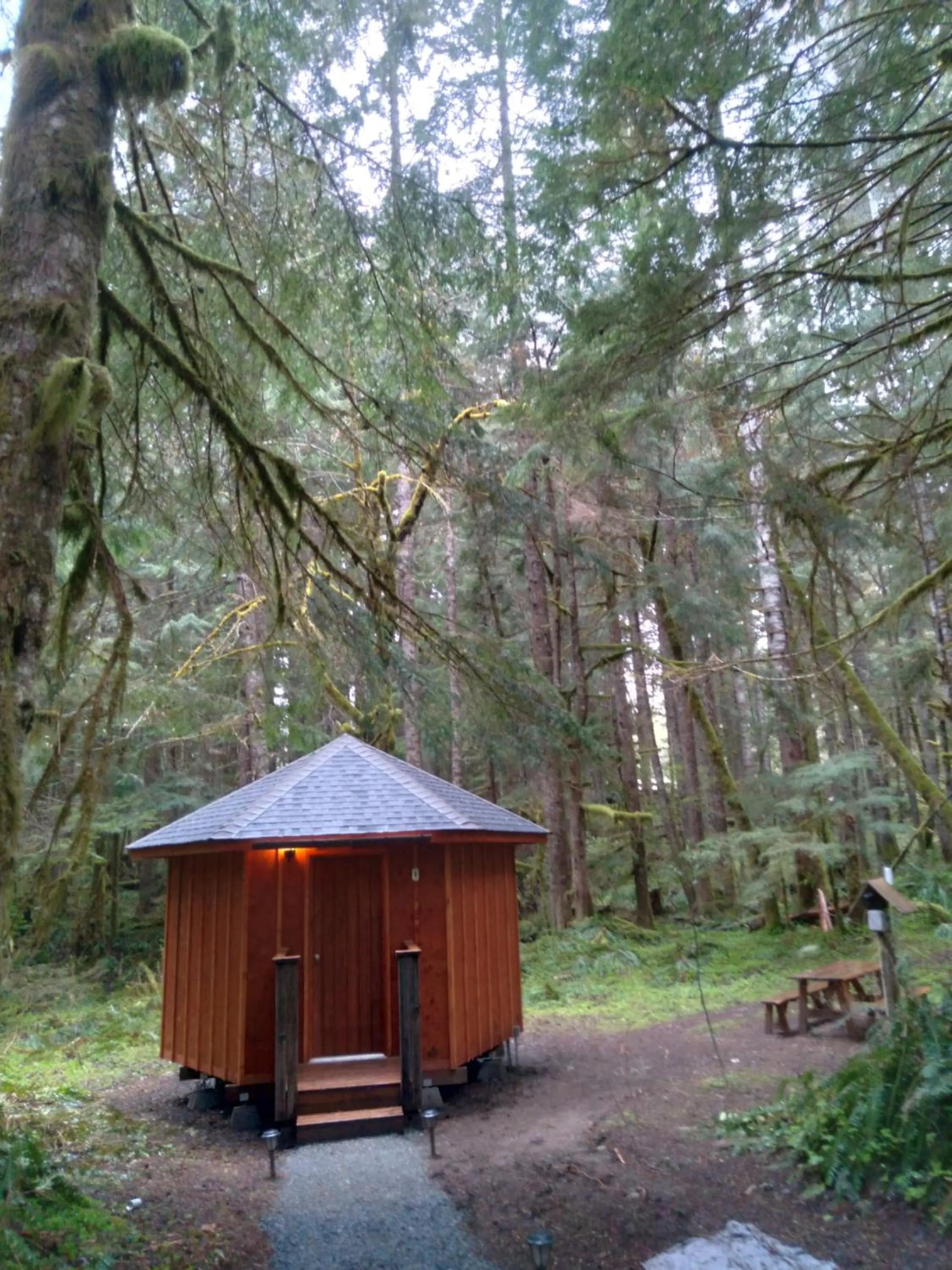 Paradise Yurt (Shared shower, Pet Friendly, Pet Fee Not Included) in Alexander's Lodge