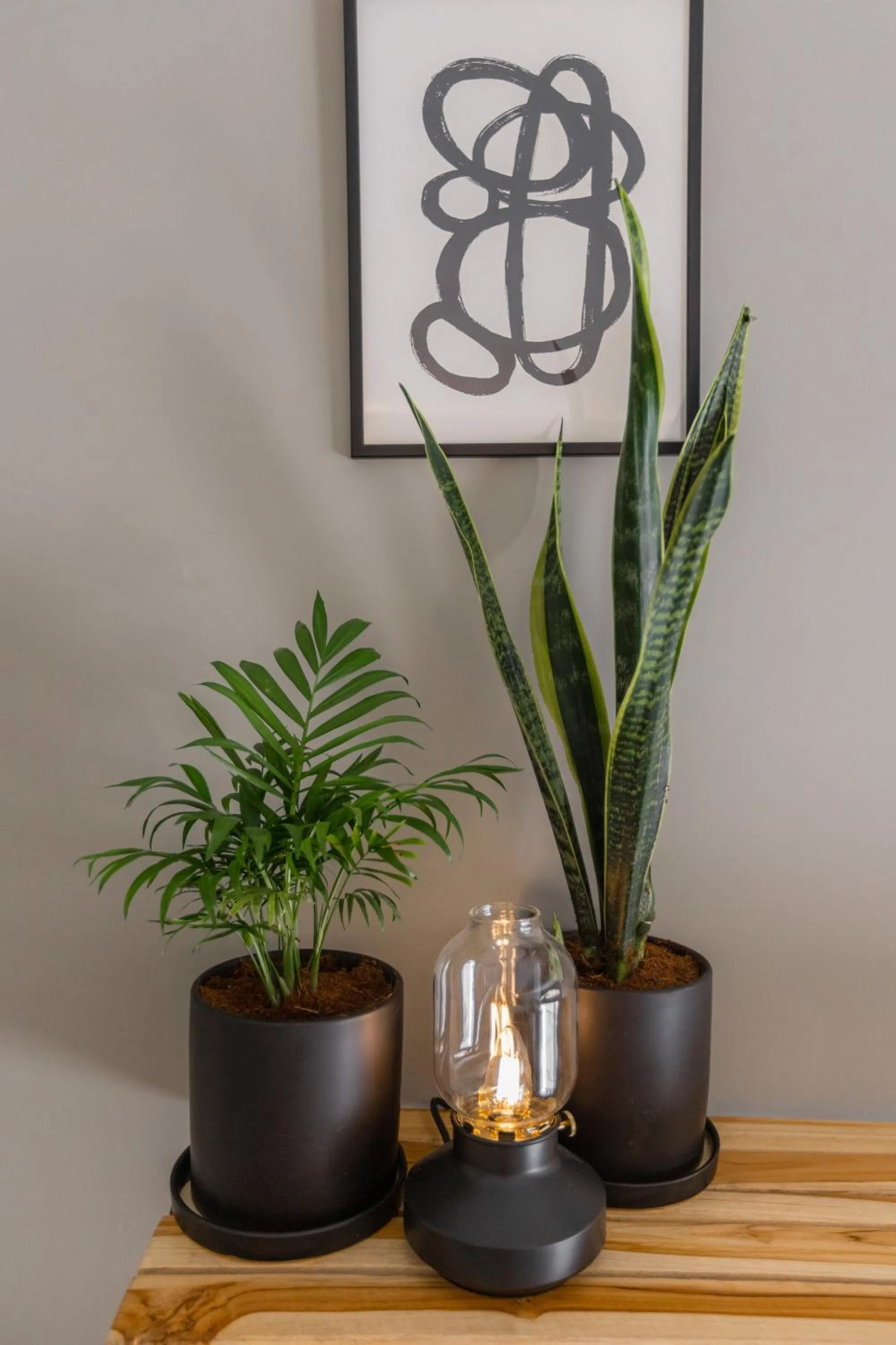 Living room in DeBlox living - Alhambra Apartments