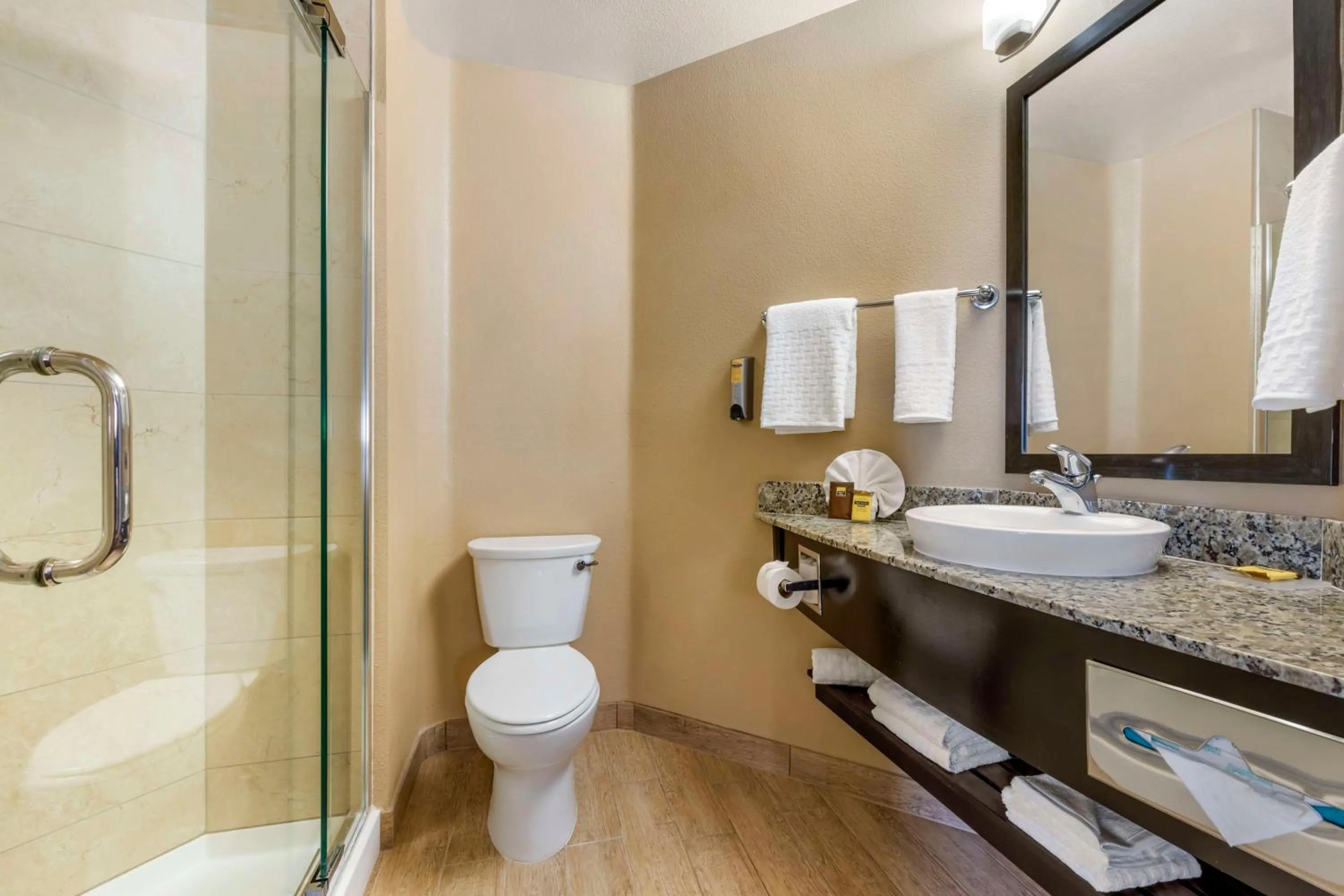 Bathroom in Best Western Plus Oceanside Palms