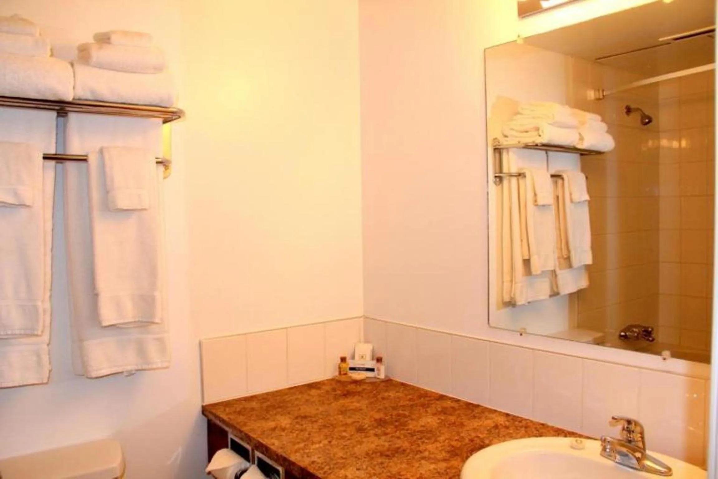 Bathroom in Acorn Motel