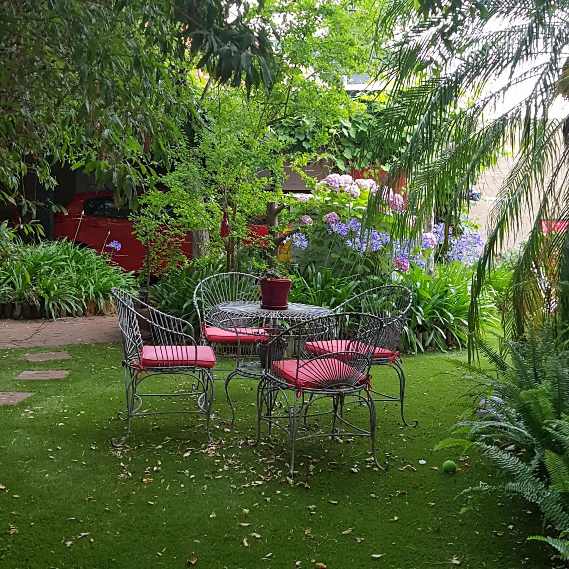 Garden in Water Bay Villa Bed & Breakfast