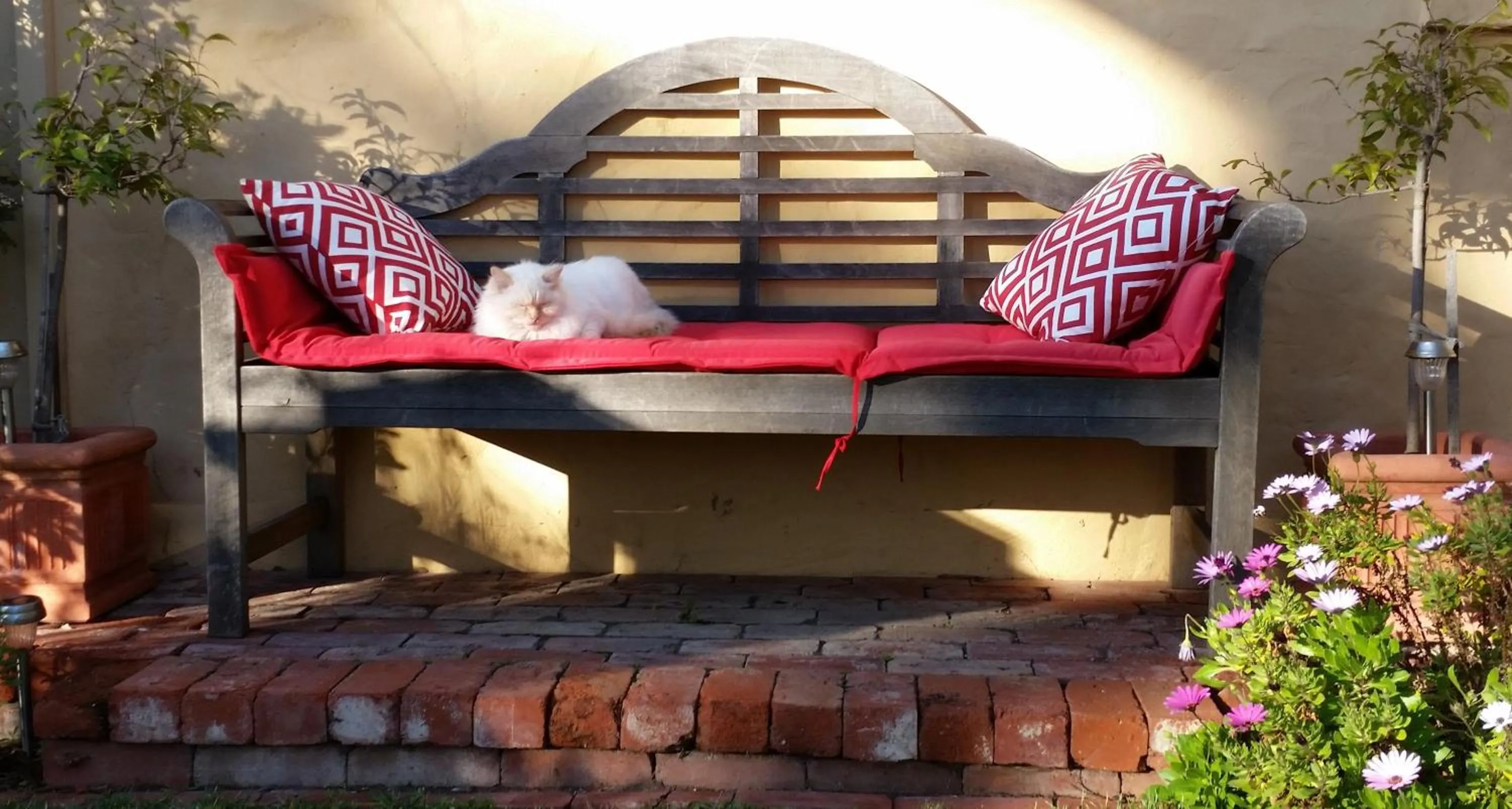 Garden in Water Bay Villa Bed & Breakfast