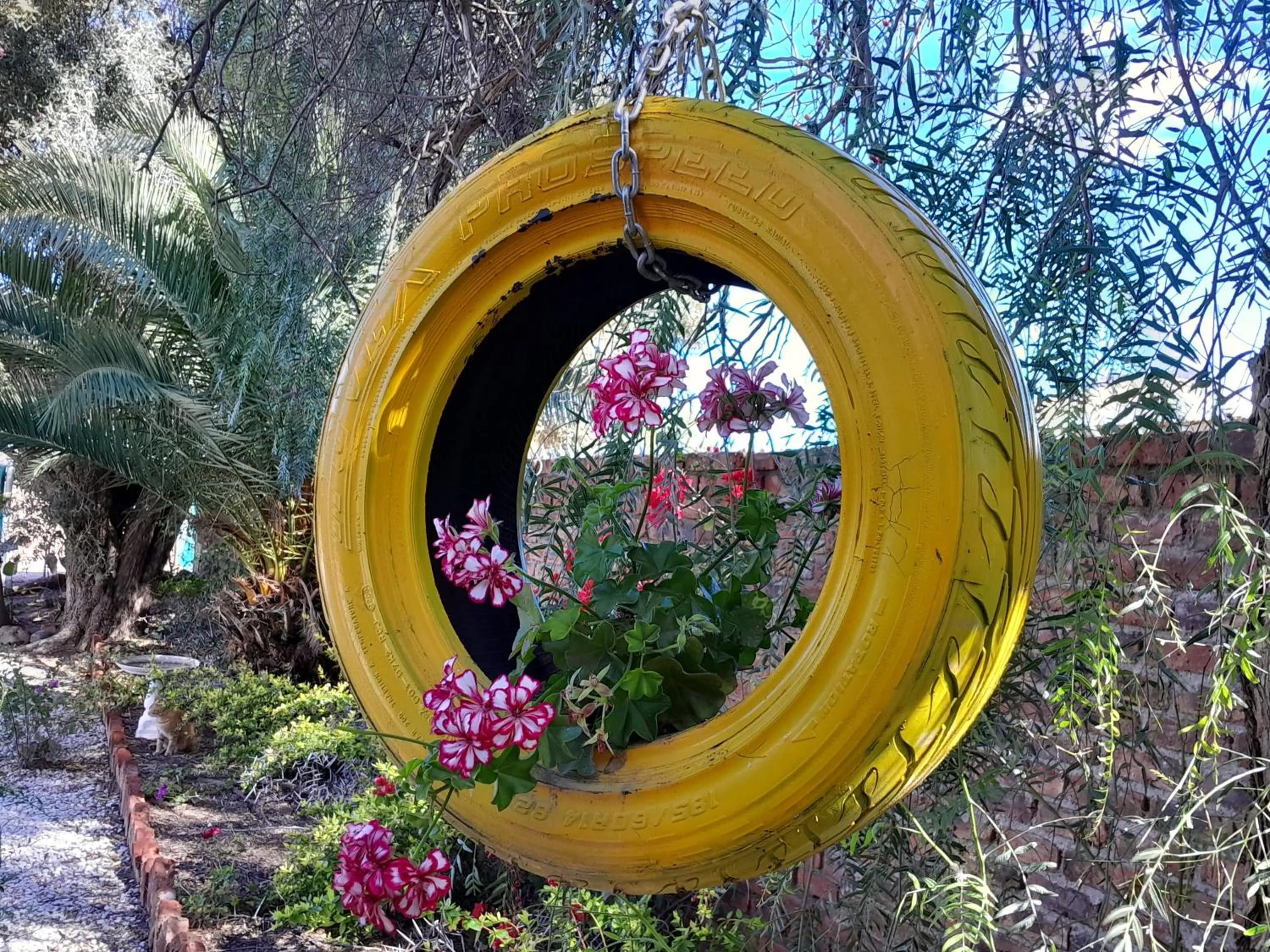 Garden in Obesa Lodge