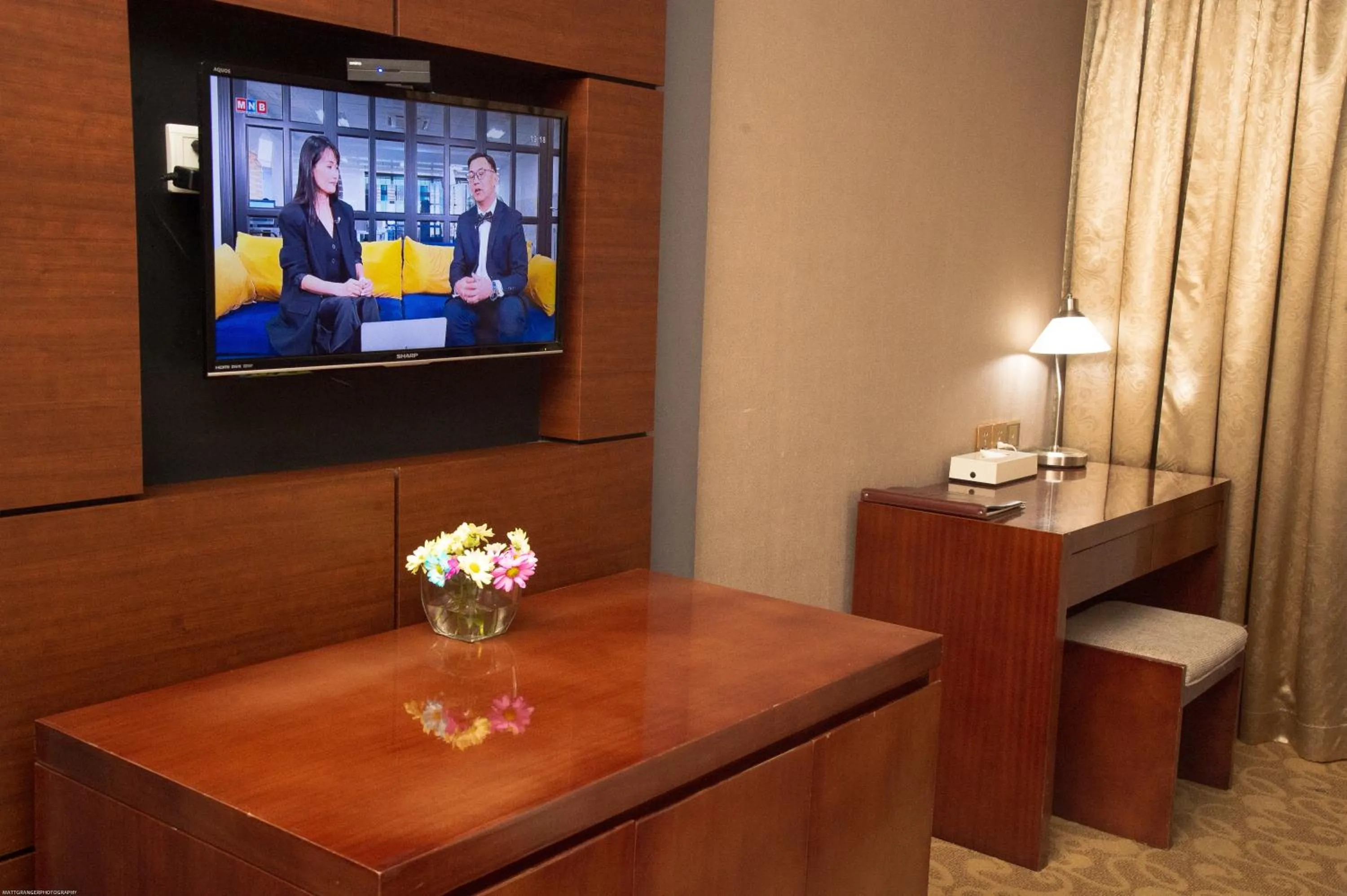 TV and multimedia in Bayangol Hotel