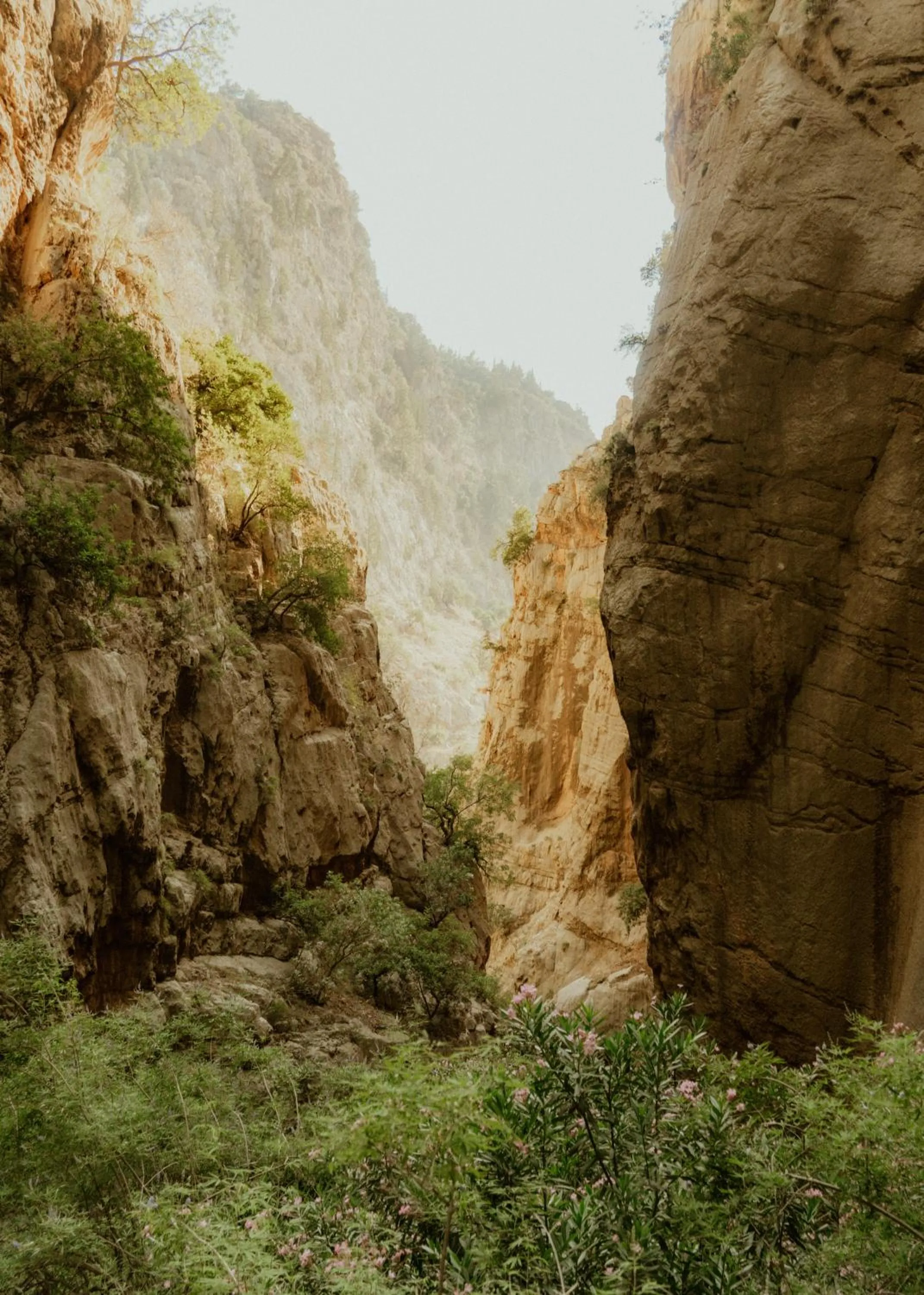 Butterfly Valley Beach Glamping