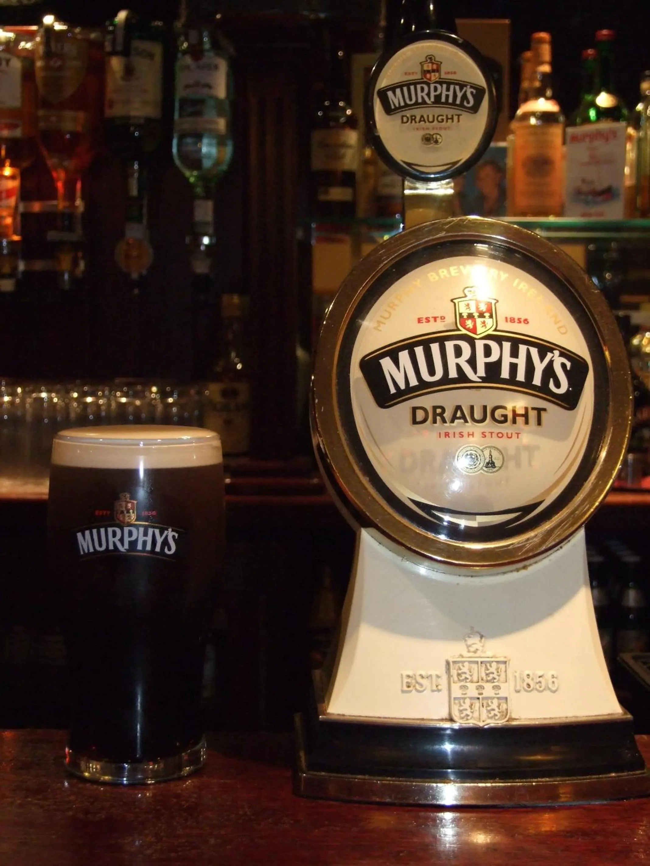 Lounge or bar in Murphy's Pub and Bed & Breakfast