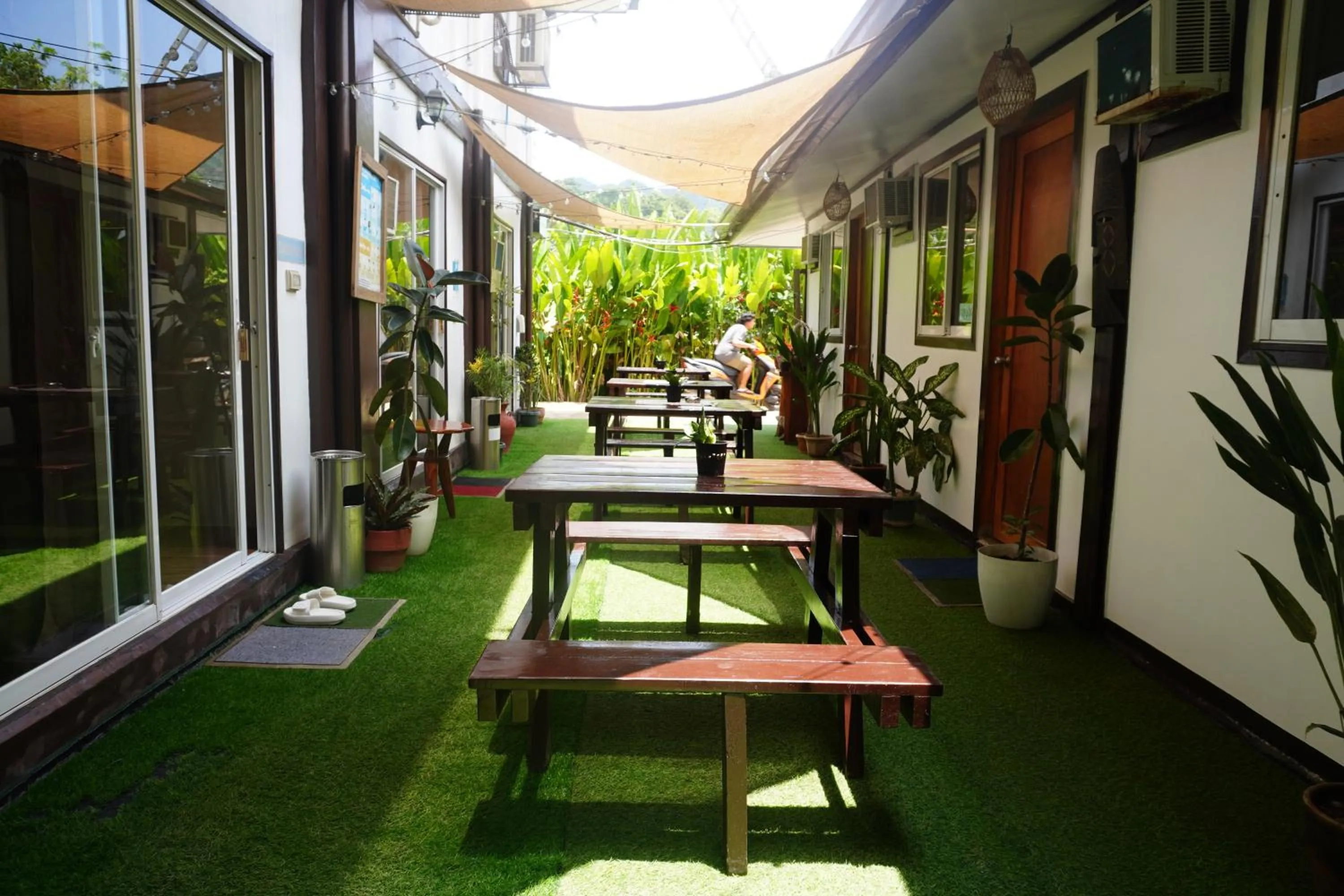 Patio in Keira Backpackers