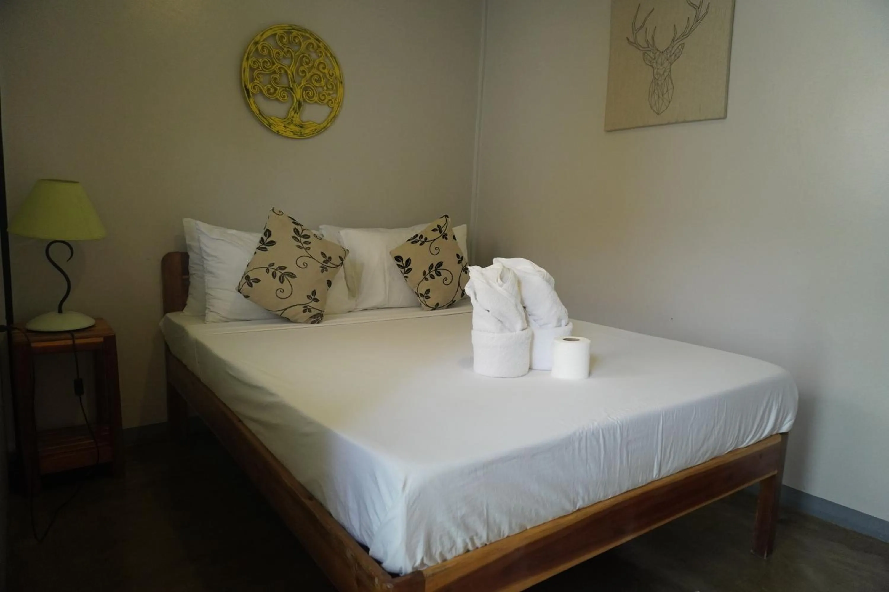 Bed in Keira Backpackers