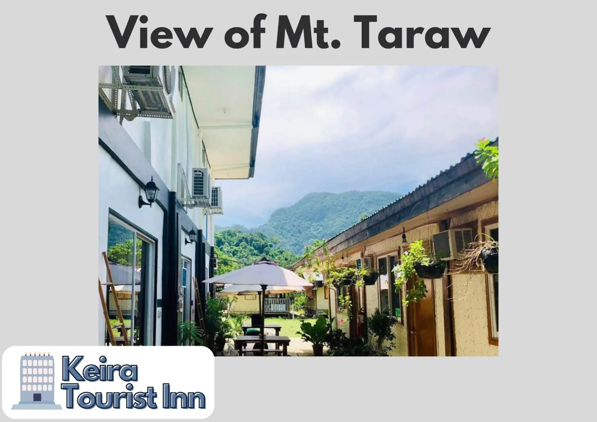 Facade/entrance in Keira Backpackers