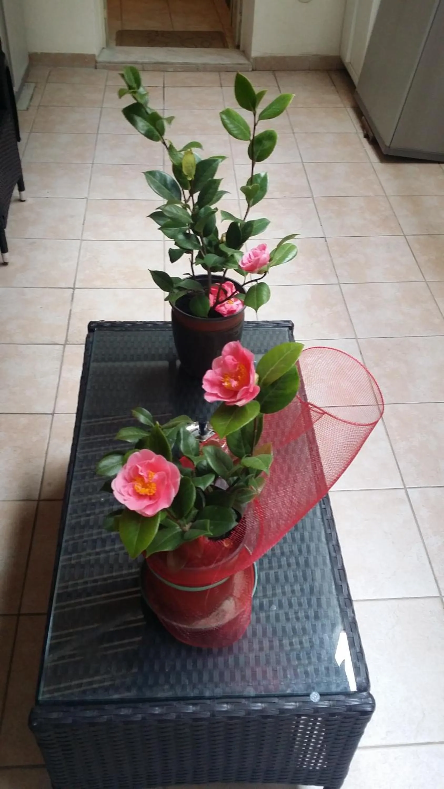 Balcony/Terrace in B&B Casa Valeria