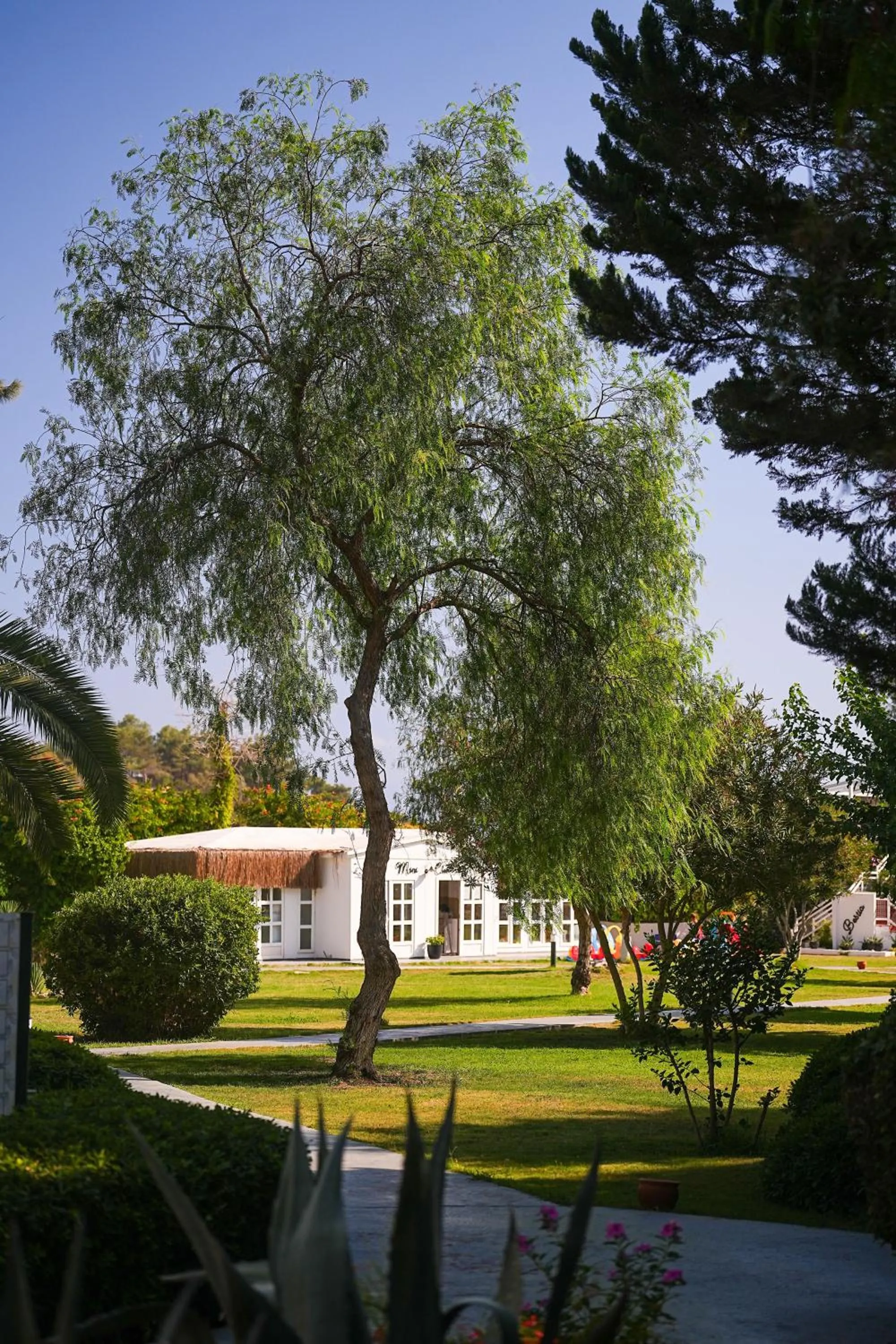 Garden in Club Beyy Resort Hotel - Ultra All Inclusive