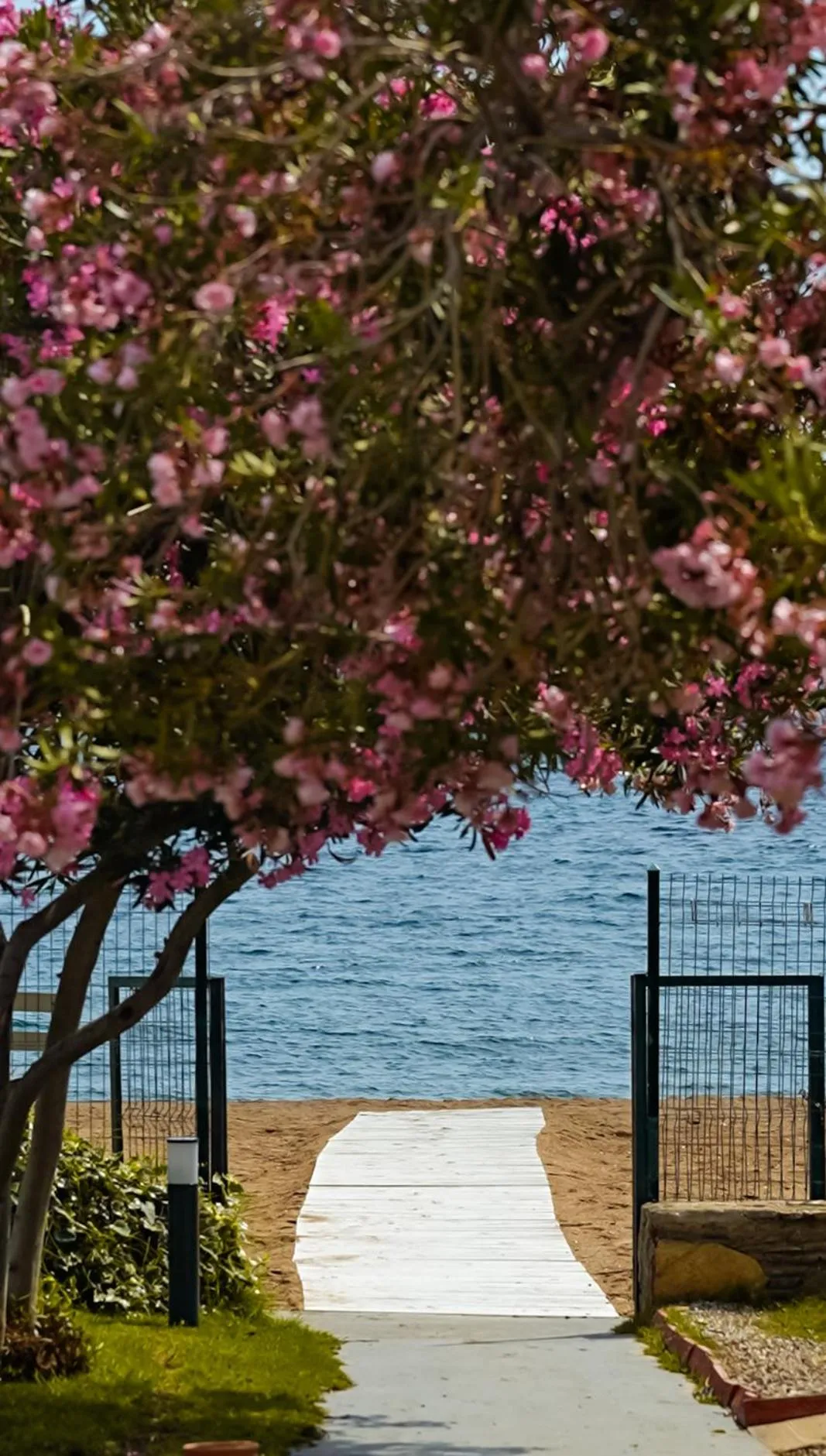 Beach in Club Beyy Resort Hotel - Ultra All Inclusive