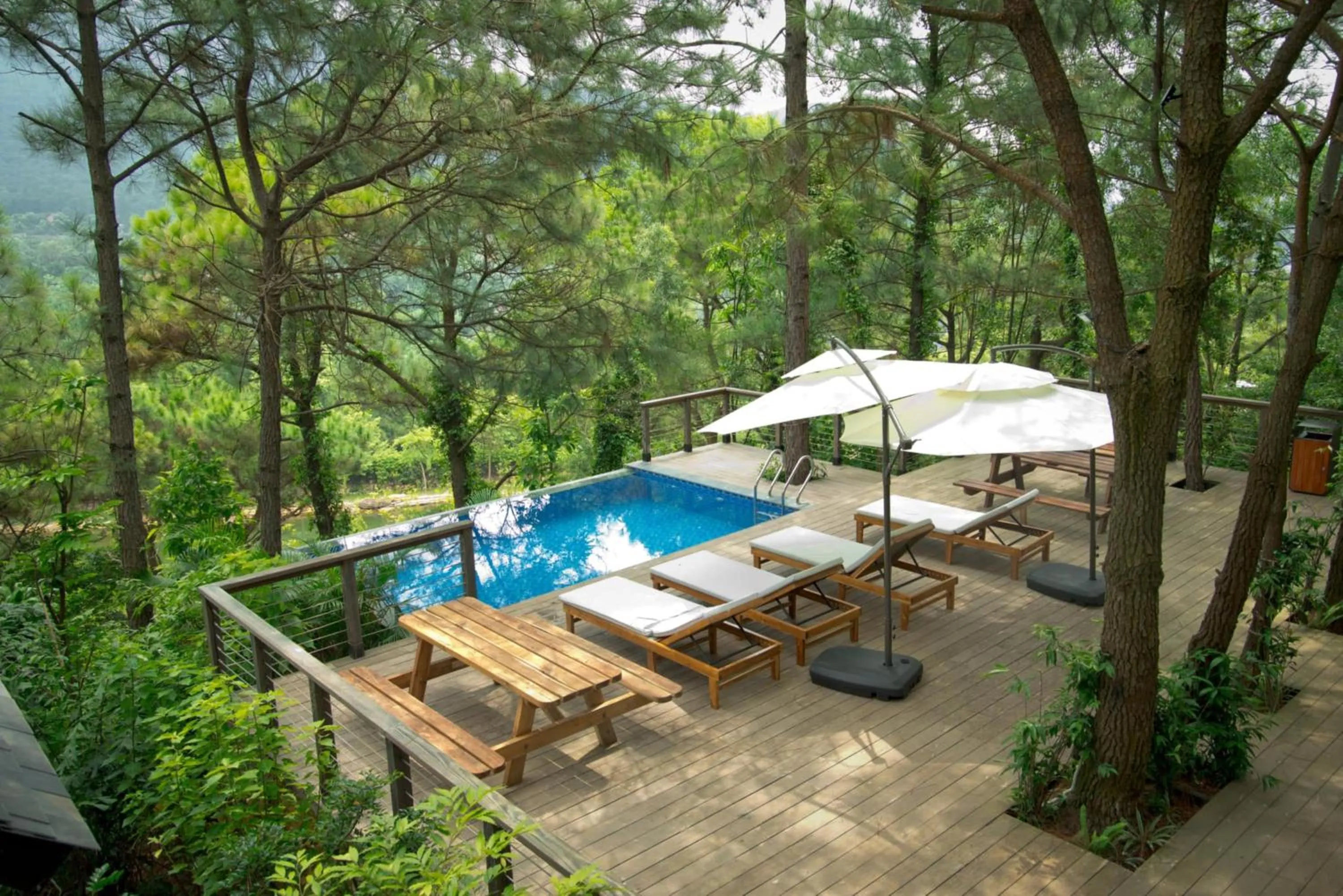 Garden view in Amaya Retreat