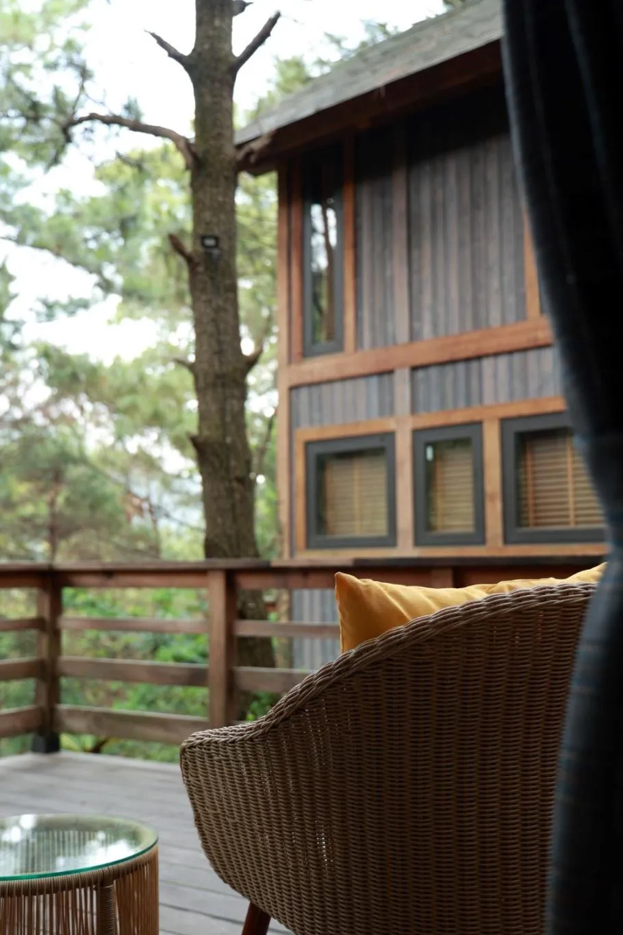 Day in Amaya Retreat