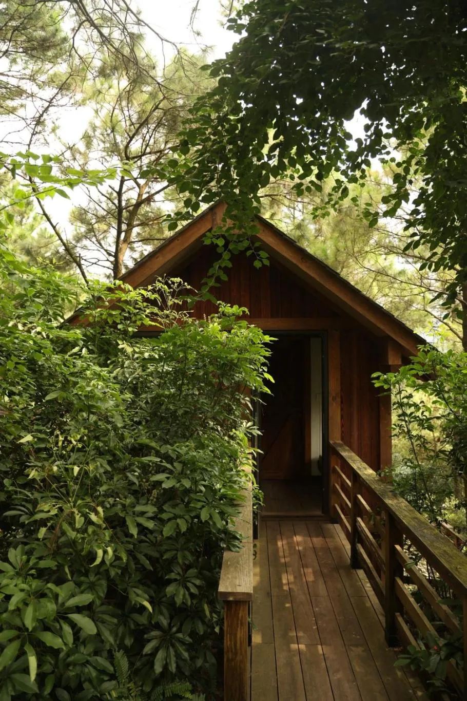Garden view in Amaya Retreat