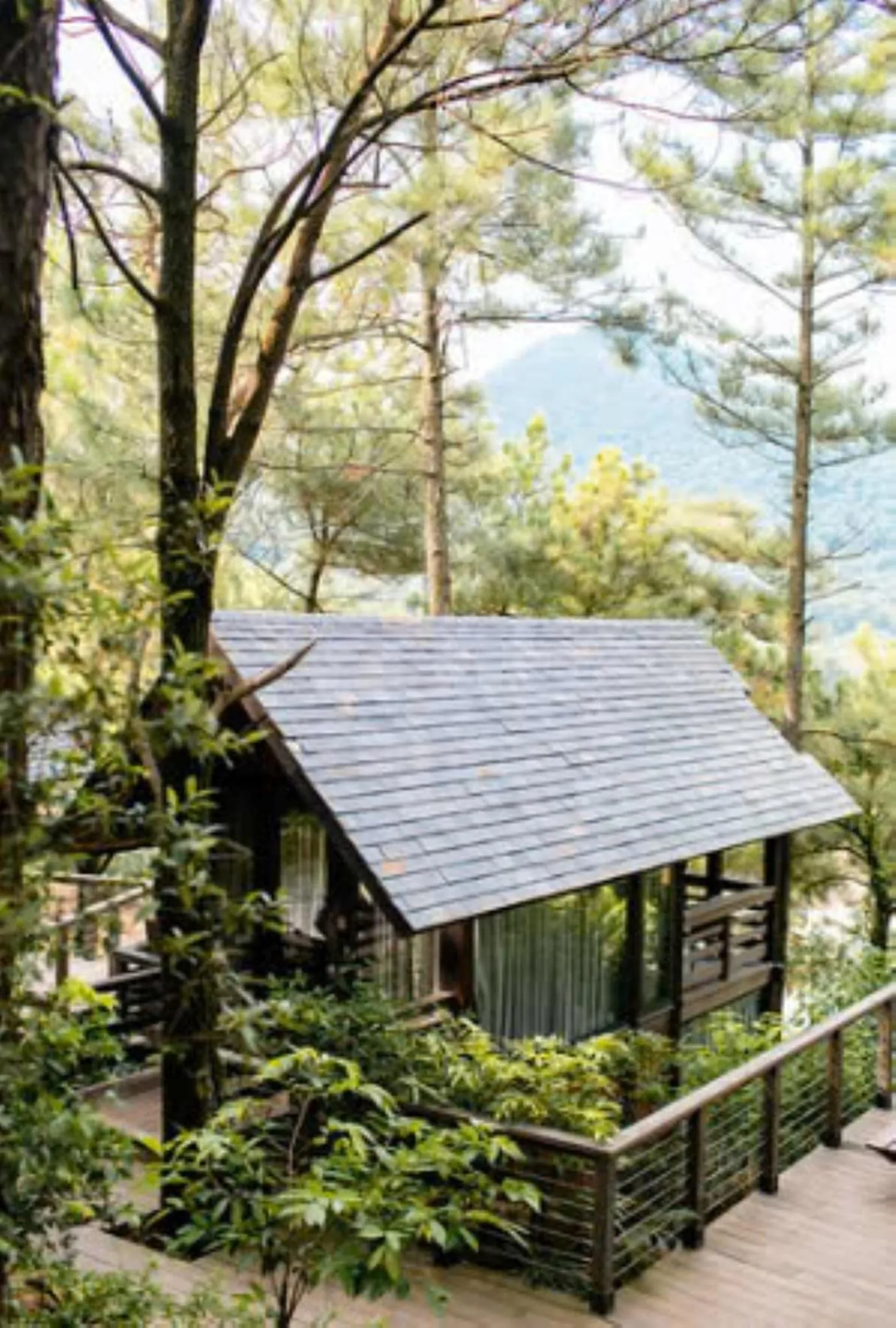 Day in Amaya Retreat