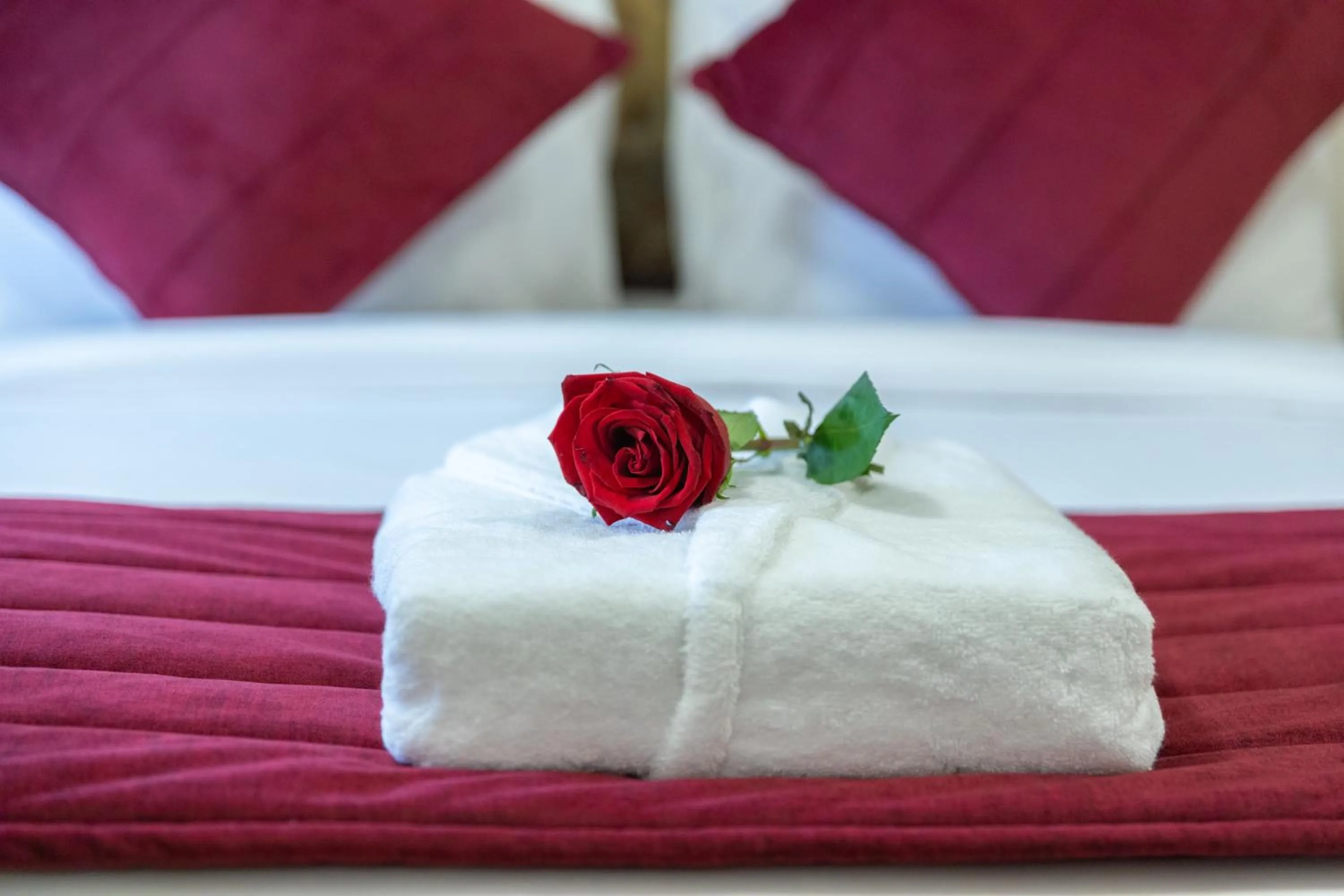 Bed in Al Shatti Villas