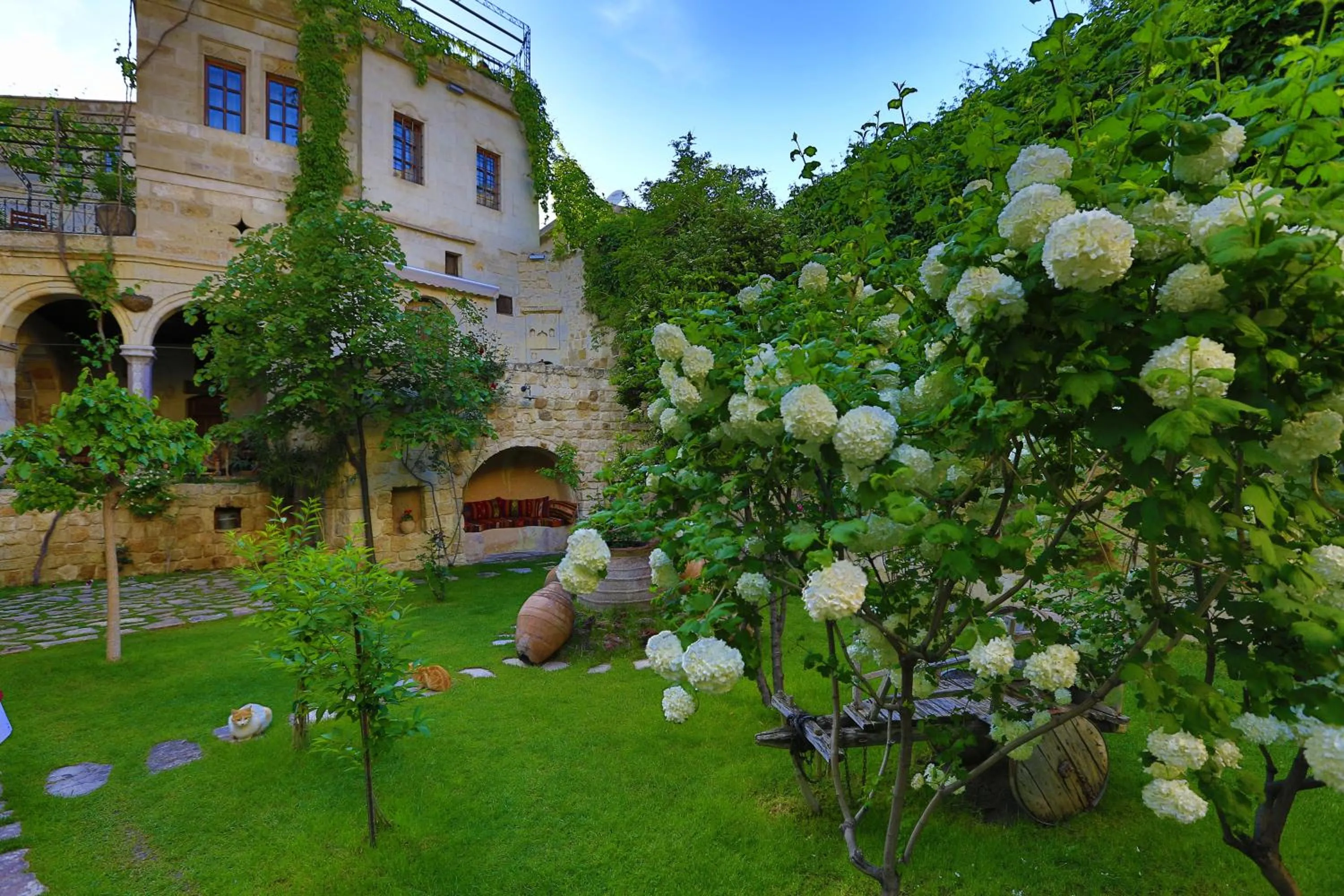Garden in Selcuklu Evi Cave Hotel - Special Category