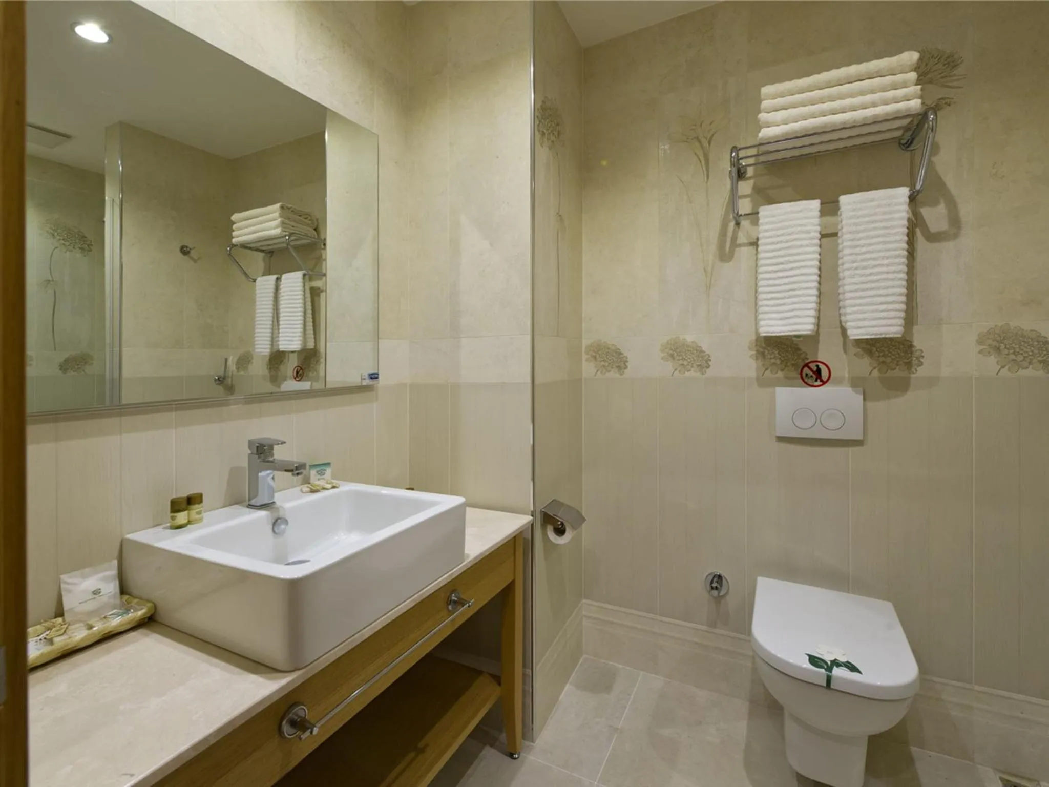 Shower, Bathroom in Hotel Olimpiyat