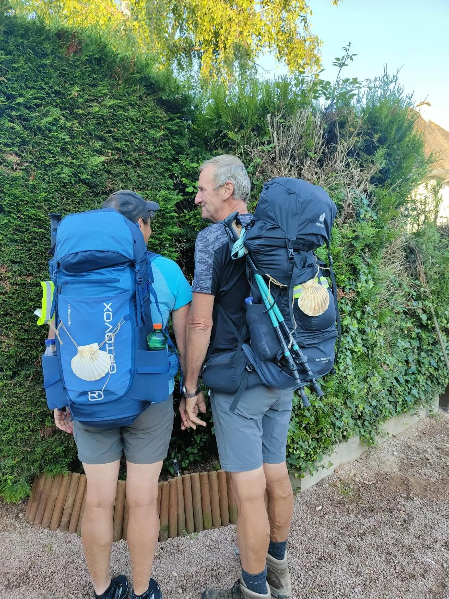 Colette Alain Maxime