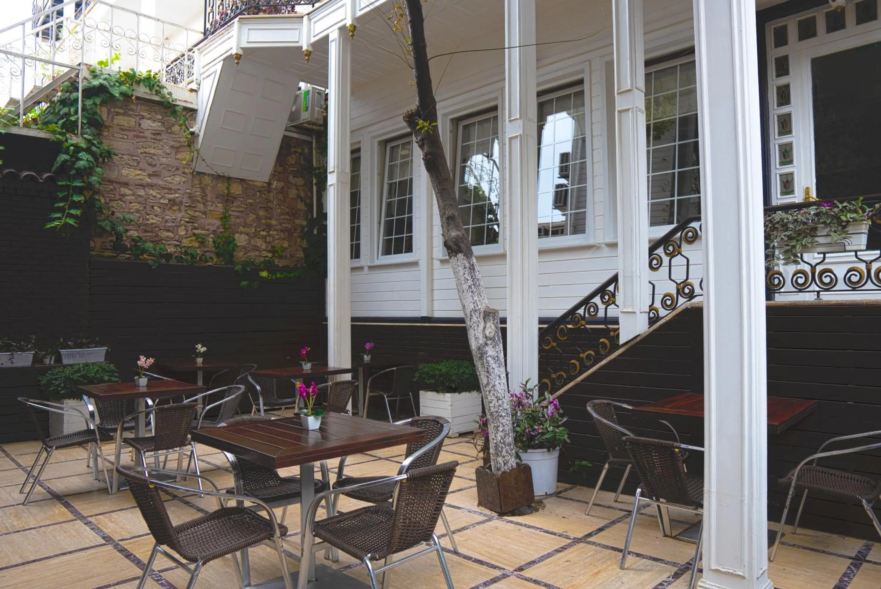 Garden in Avicenna Hotel Sultanahmet