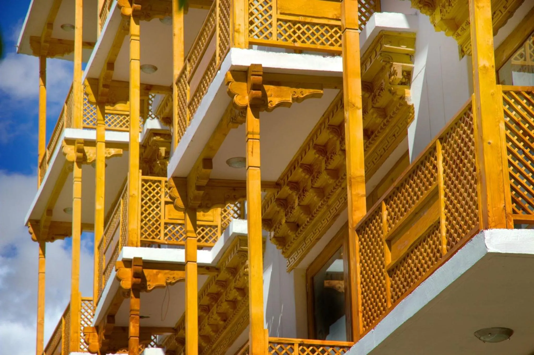 View (from property/room) in Hotel Grand Himalaya