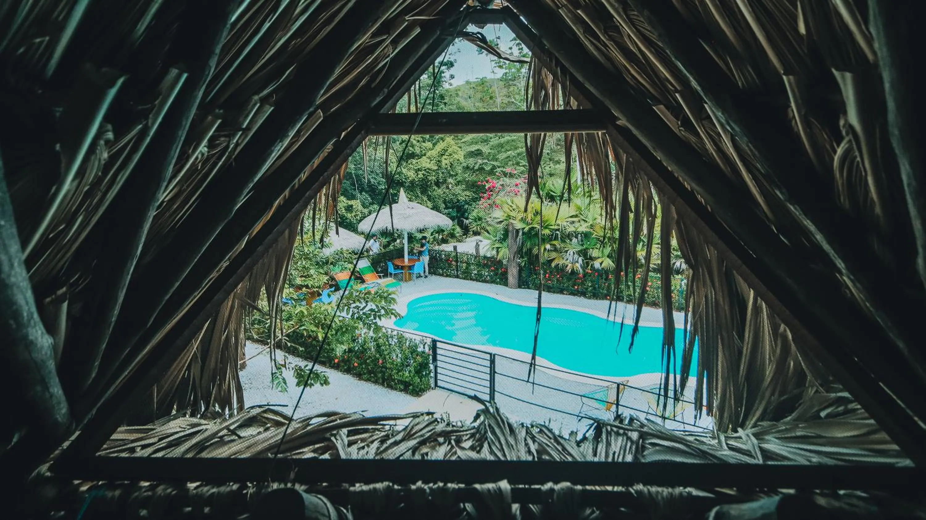 Pool view in Makenke Hostel By Los Colores Ecoparque