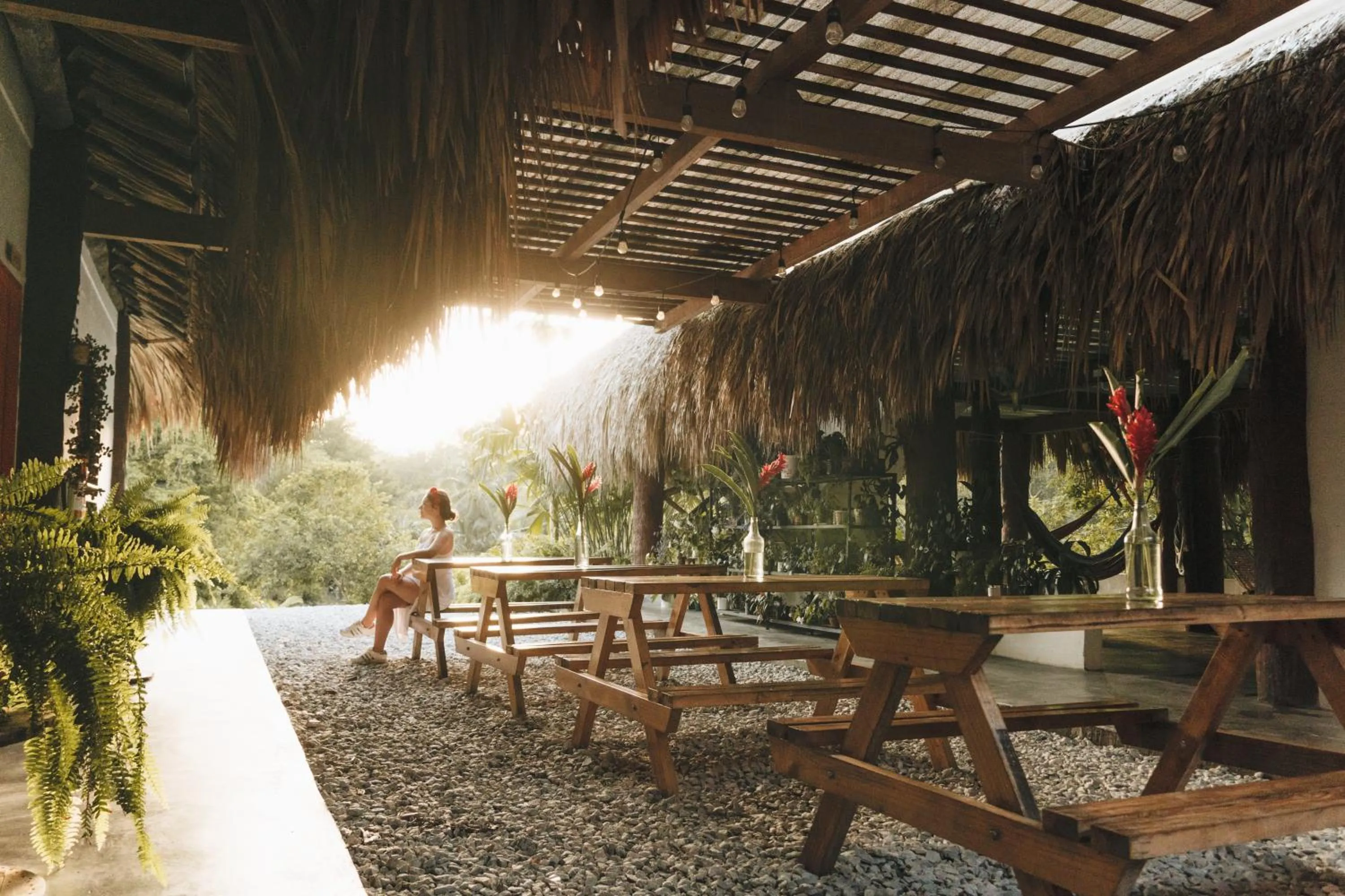 Lounge or bar in Makenke Hostel By Los Colores Ecoparque